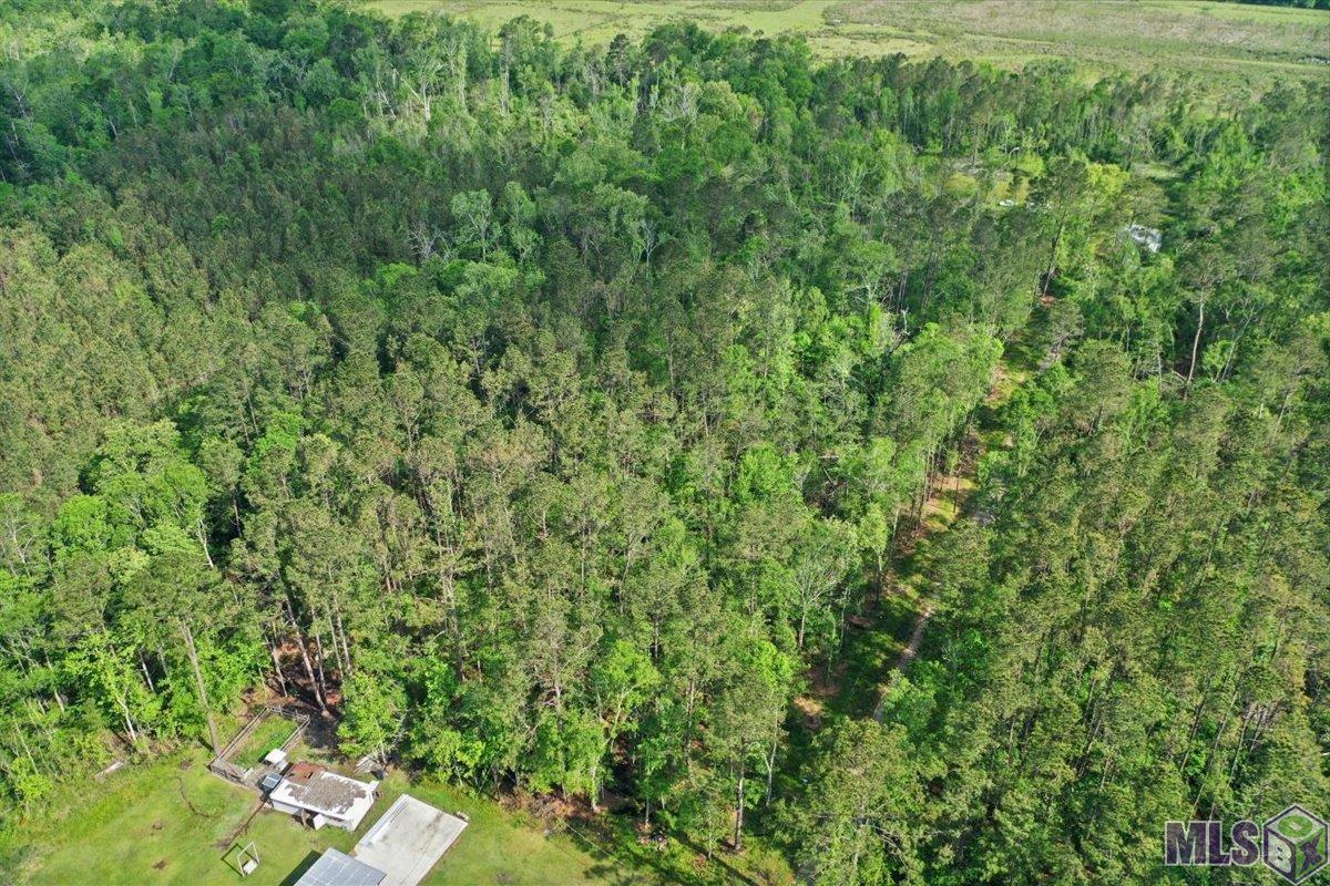 Lot C-4 Abernathy Road Springfield, LA 70462 - Photo 7 of 12 Gallery Image 7