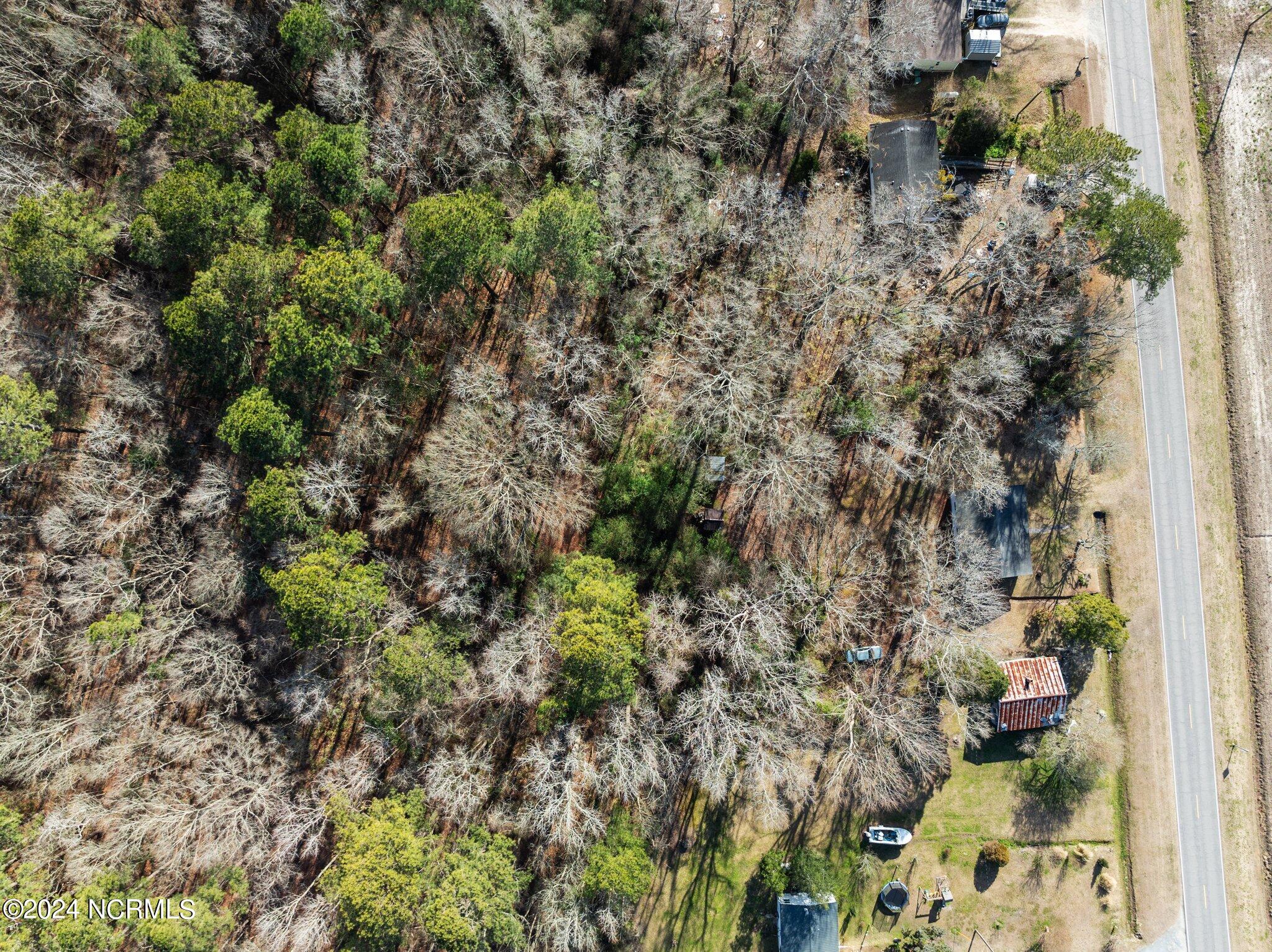 5561 Jackson Swamp Road Bath, NC 27808 - Photo 6 of 25 5-web-or-mls-DJI_0804