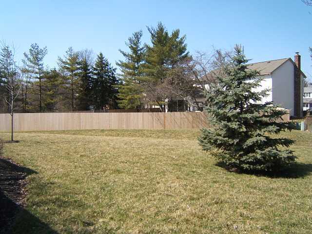 8347 Smoky Row Road Powell, OH 43065 - Photo 3 of 11