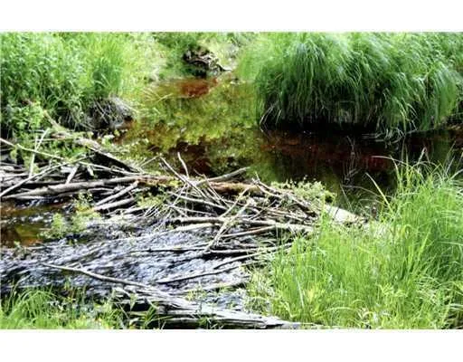 $12,900 | 3-30 Marshfield Flats Road, Machias, ME 04654