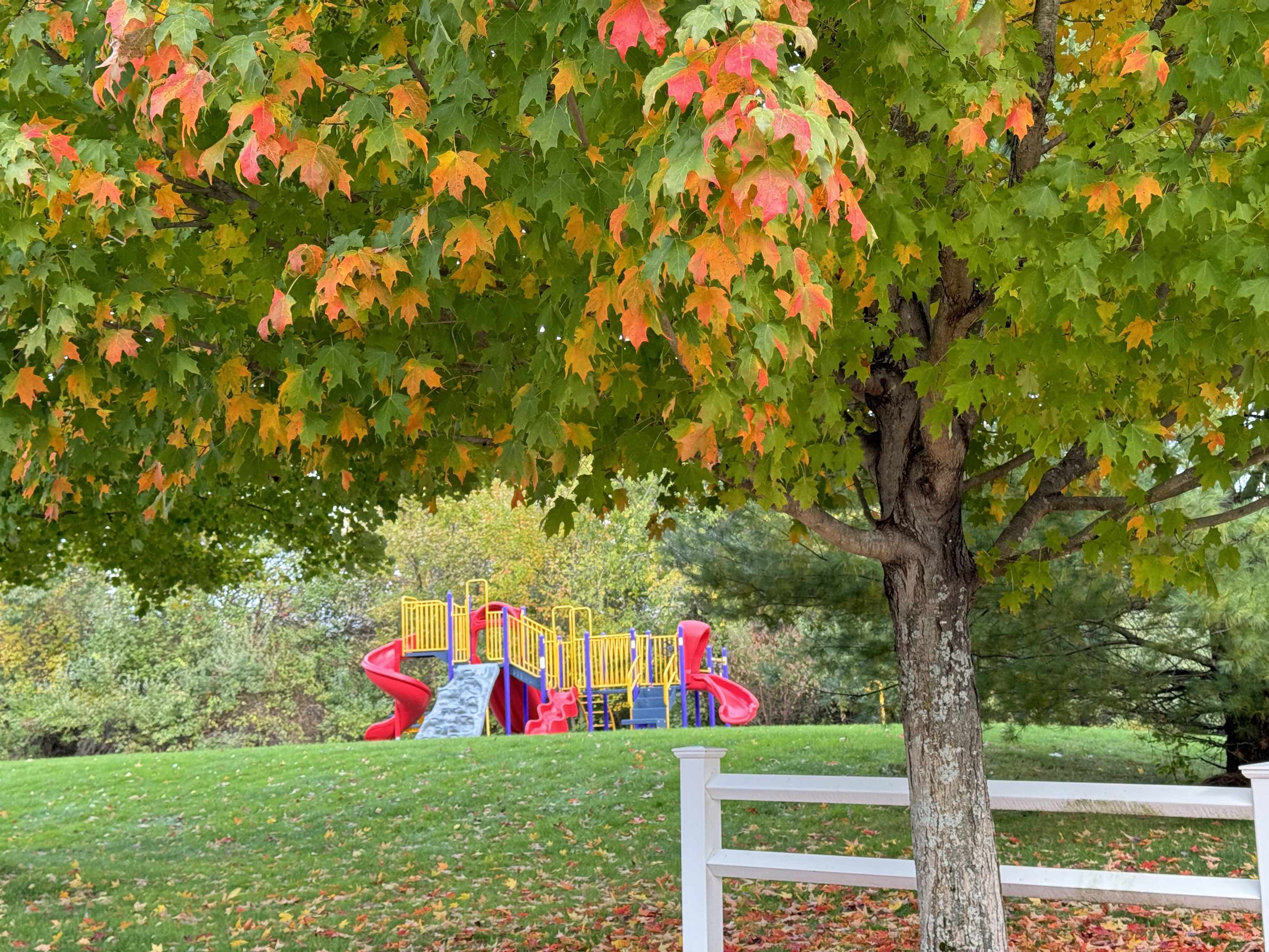 3981 Brown Avenue, Unit 75 Manchester, NH 03103 - Photo 32 of 37