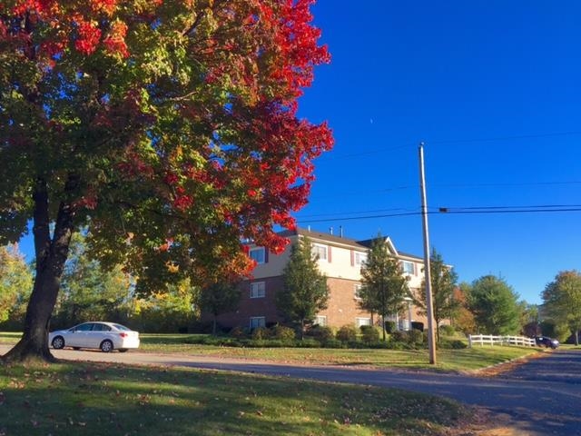 3981 Brown Avenue, Unit 75 Manchester, NH 03103 - Photo 7 of 37