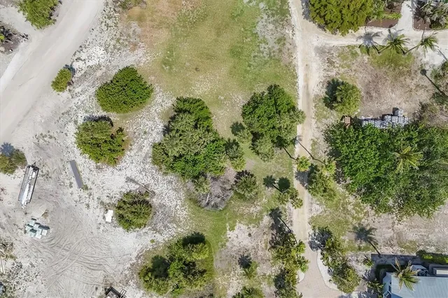 a view of a garden with plants