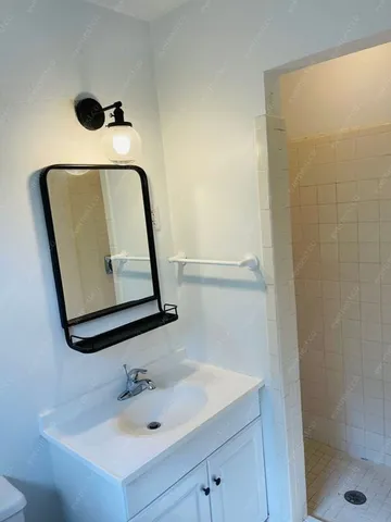 a bathroom with a sink a mirror and shower
