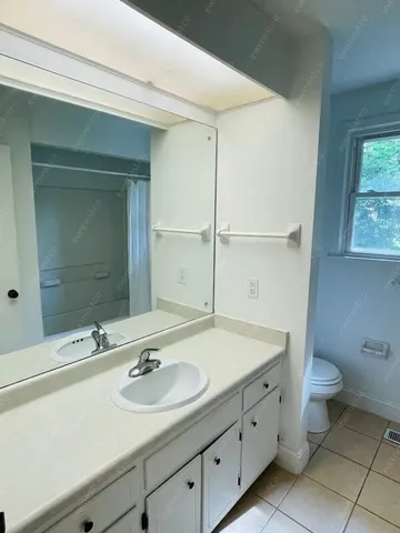 a bathroom with a sink and a toilet