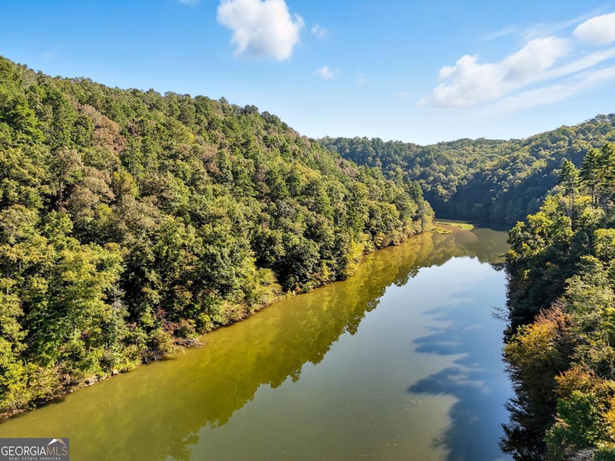 650 Myna Drive, Unit 986 Ellijay, GA 30540 - Photo 5 of 82