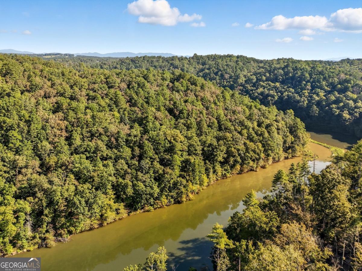 650 Myna Drive, Unit 986 Ellijay, GA 30540 - Photo 53 of 82