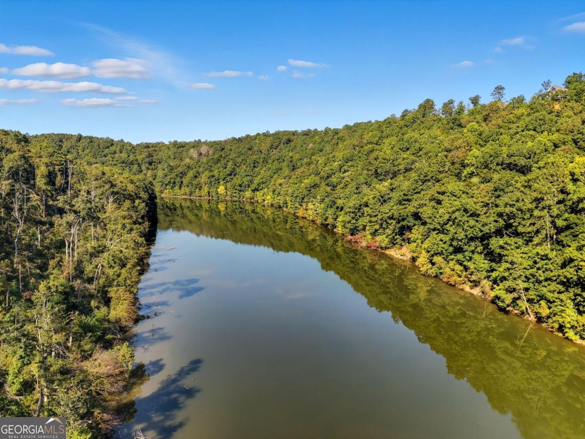 650 Myna Drive, Unit 986 Ellijay, GA 30540 - Photo 56 of 82