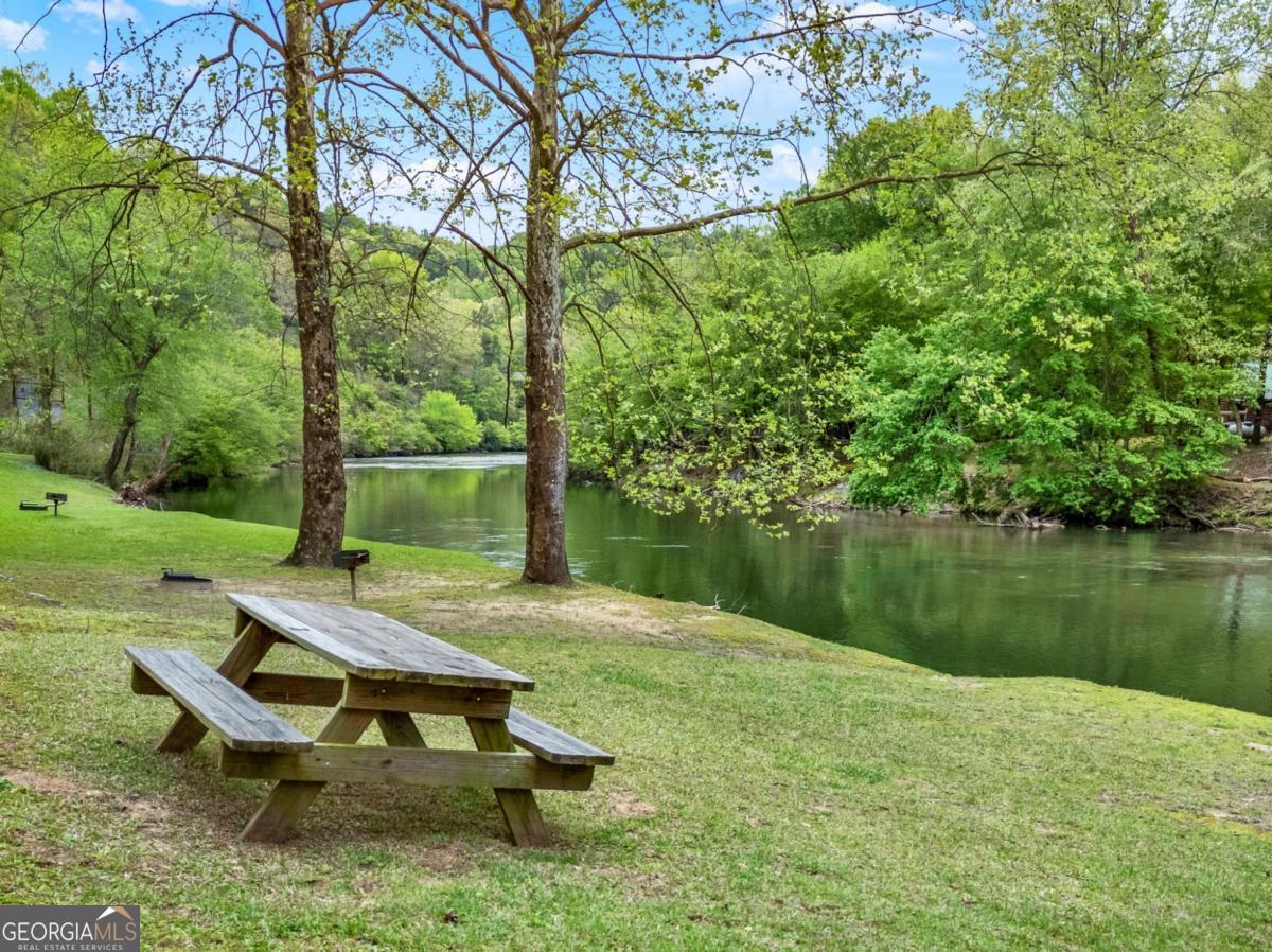 650 Myna Drive, Unit 986 Ellijay, GA 30540 - Photo 66 of 82 Riverside picnics