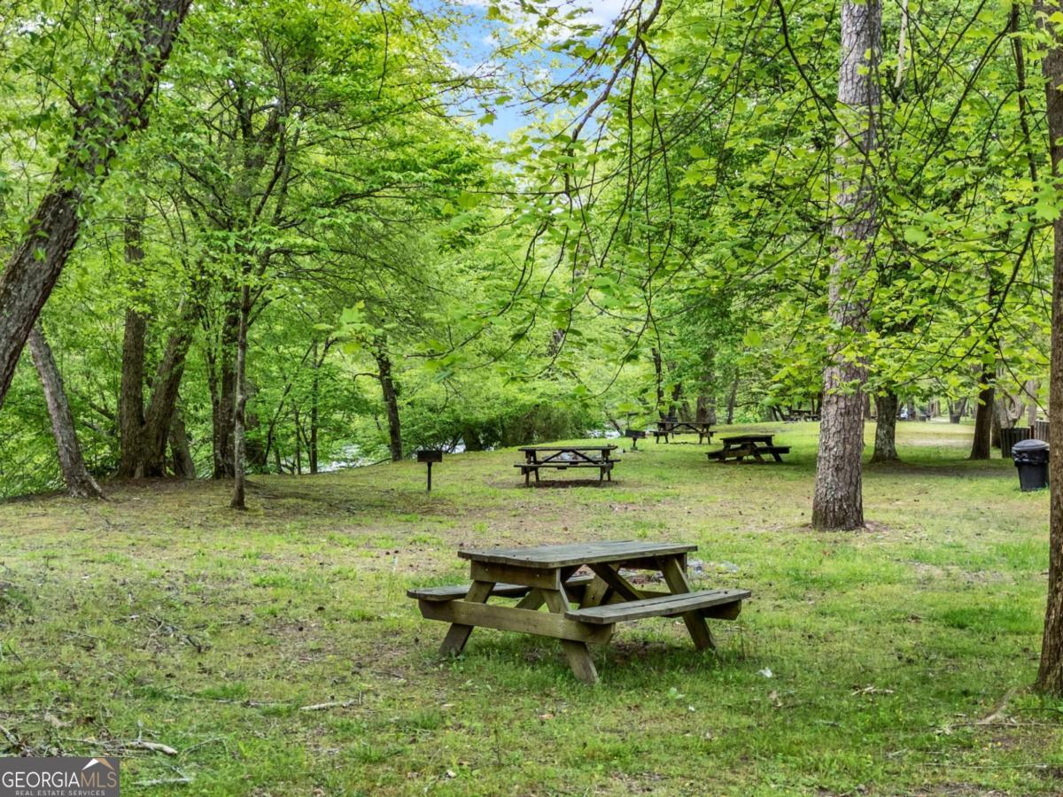650 Myna Drive, Unit 986 Ellijay, GA 30540 - Photo 69 of 82 Picnic areas