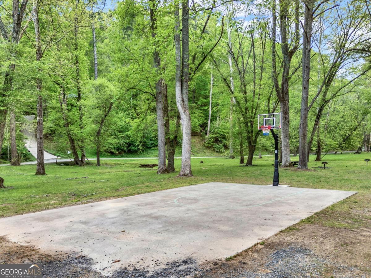 650 Myna Drive, Unit 986 Ellijay, GA 30540 - Photo 71 of 82 Basketball