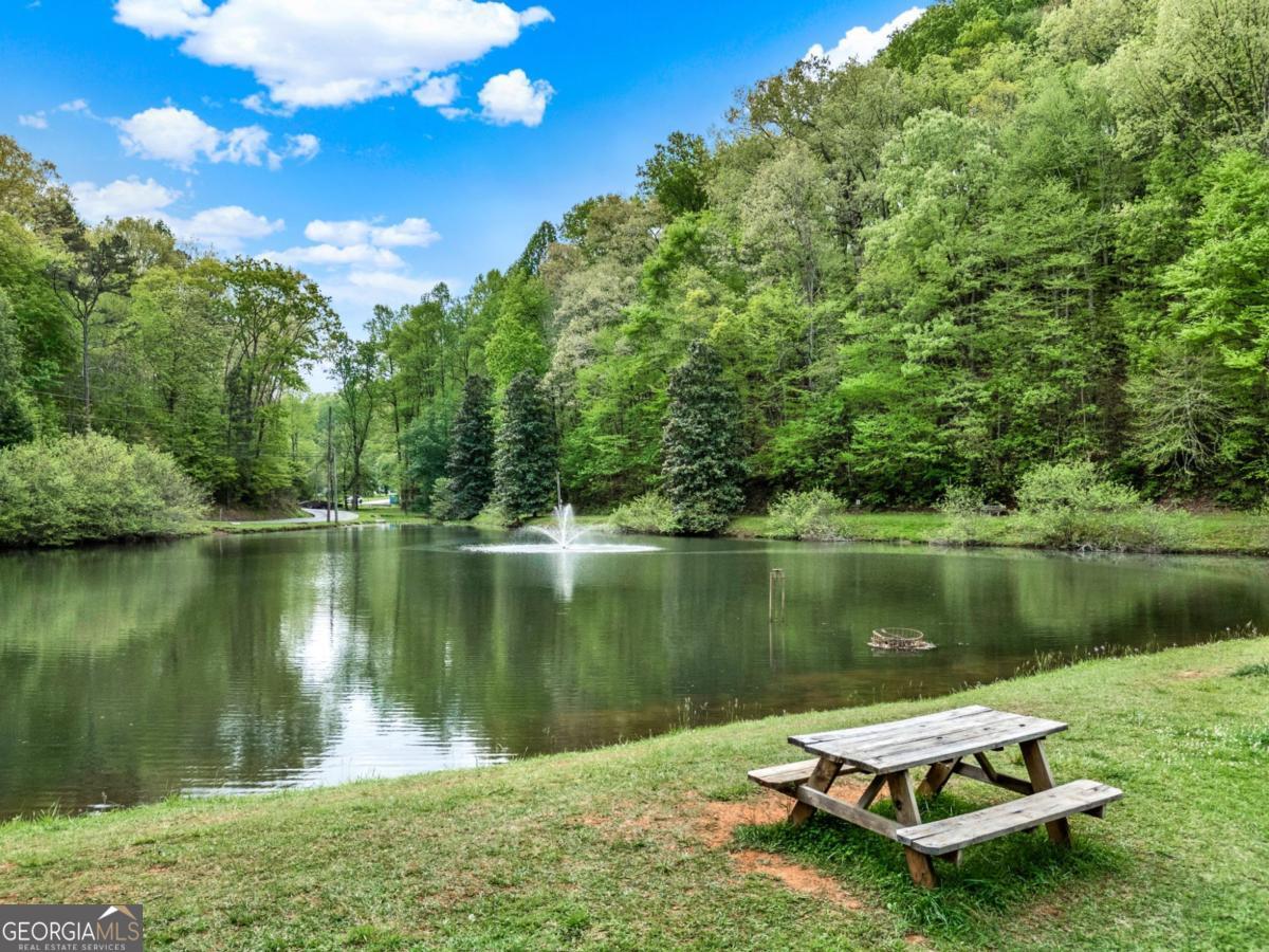 650 Myna Drive, Unit 986 Ellijay, GA 30540 - Photo 82 of 82 Community pond for fishing