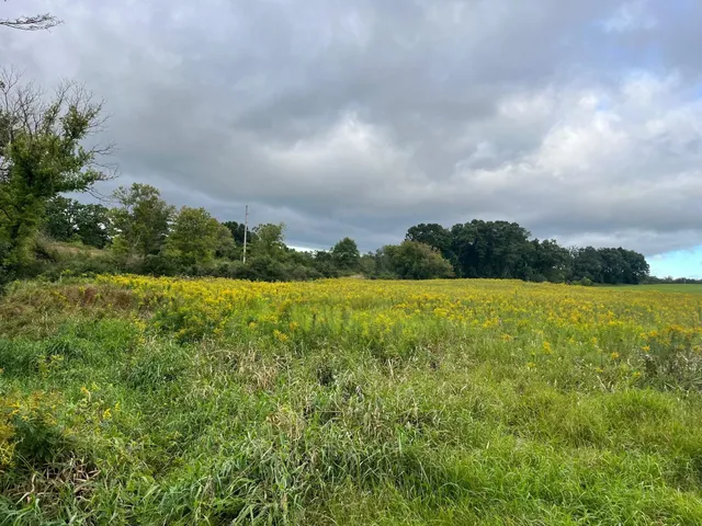 $85,000 | 6 County Rd M, Westfield, WI 53964