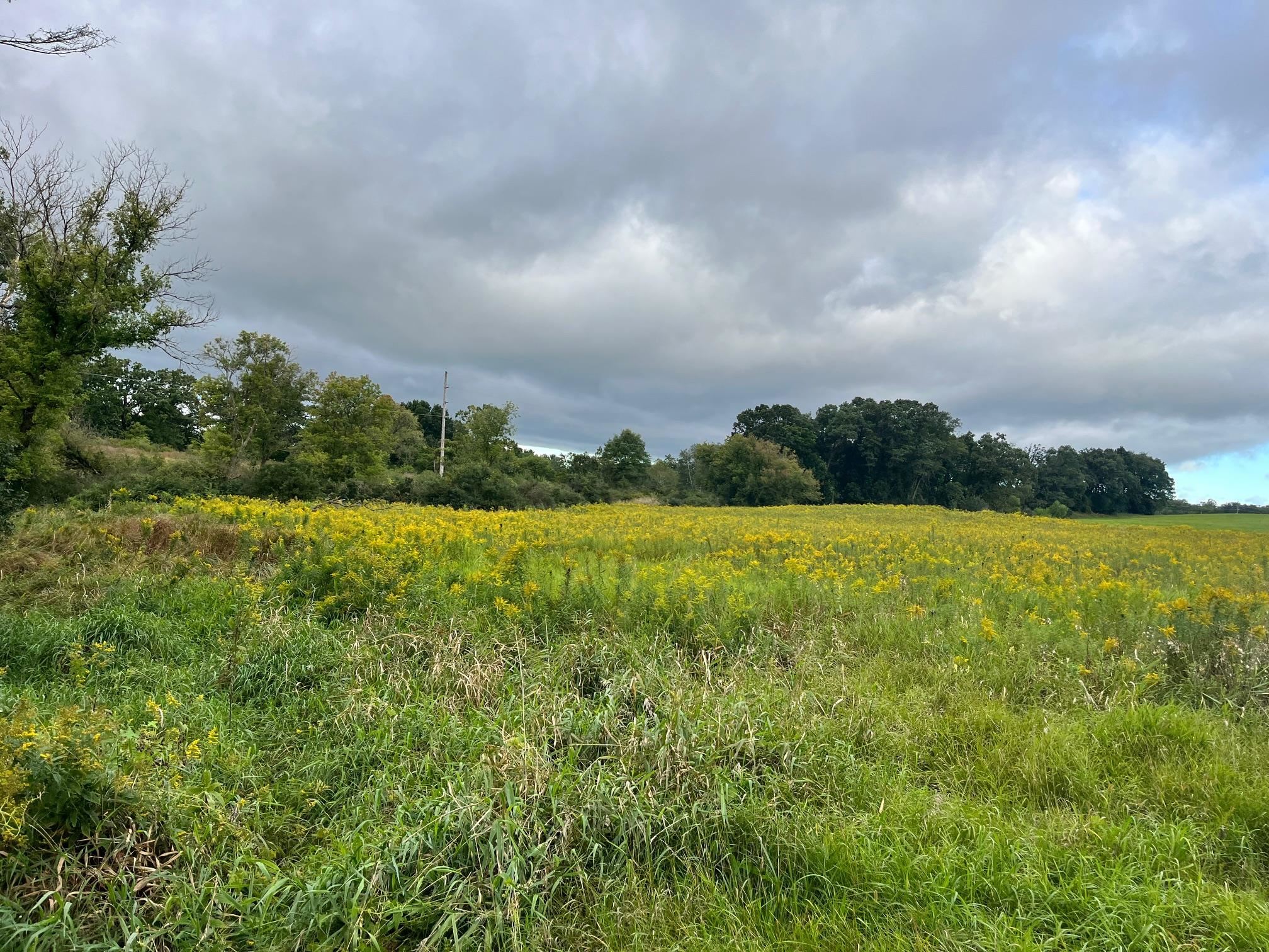 6 County Rd M Westfield, WI 53964 - Photo 1 of 13