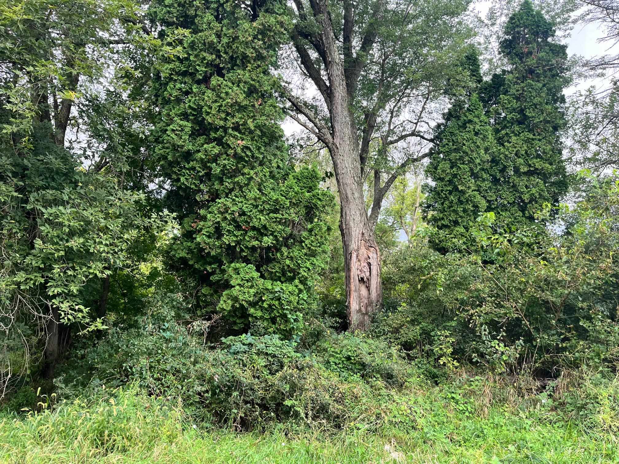 6 County Rd M Westfield, WI 53964 - Photo 11 of 13