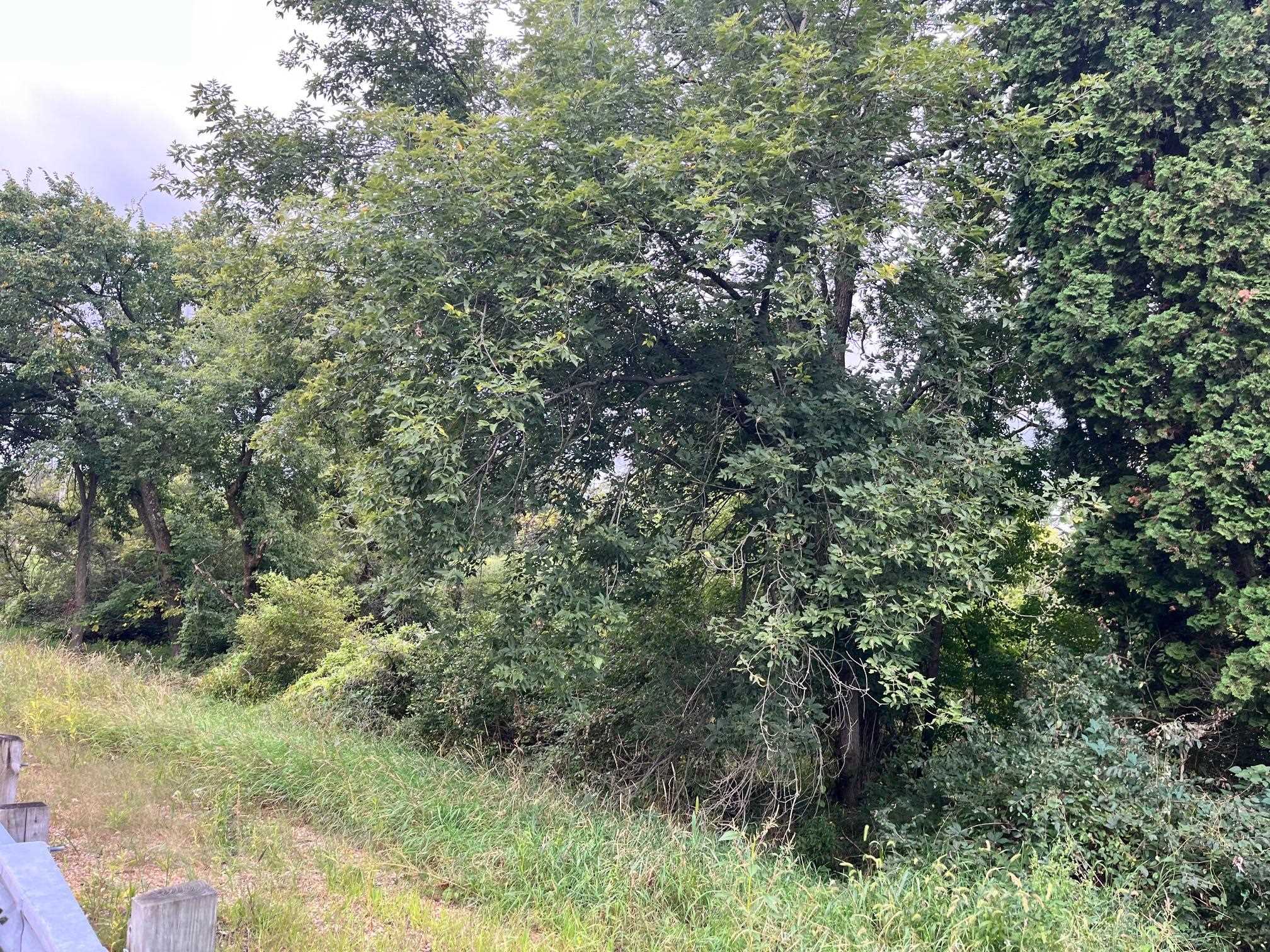 6 County Rd M Westfield, WI 53964 - Photo 12 of 13