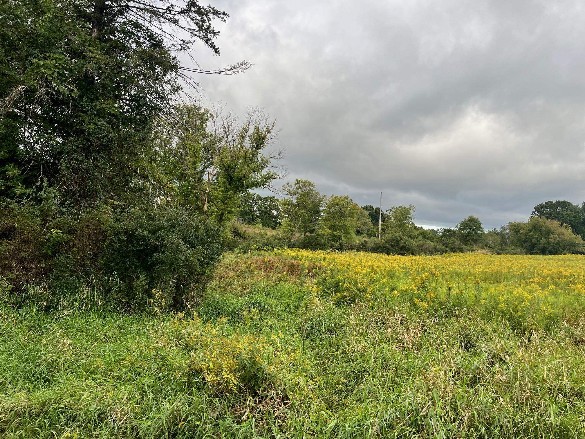 6 County Rd M Westfield, WI 53964 - Photo 13 of 13