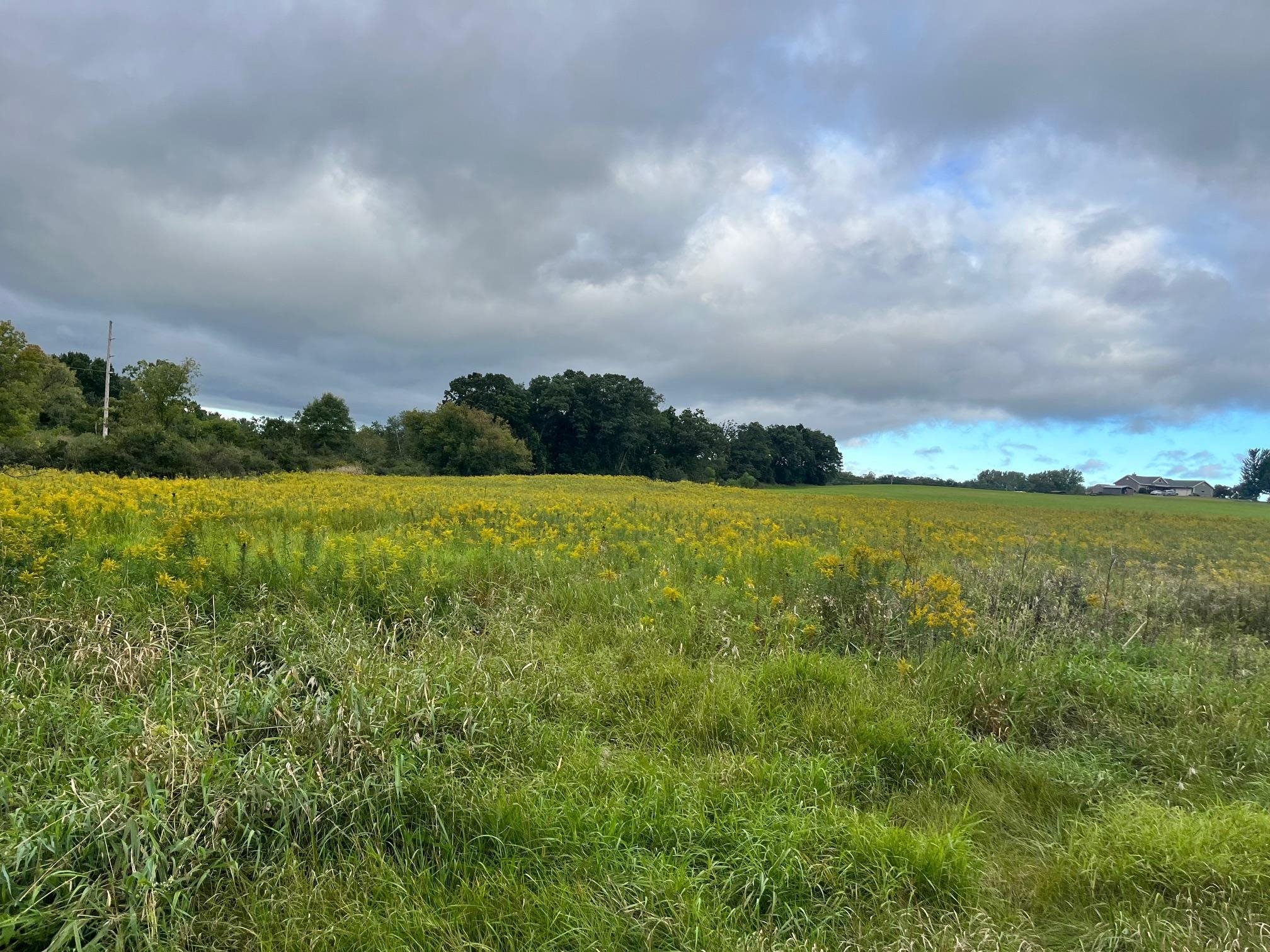 6 County Rd M Westfield, WI 53964 - Photo 2 of 13