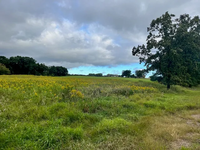 $85,000 | 6 County Rd M, Westfield, WI 53964