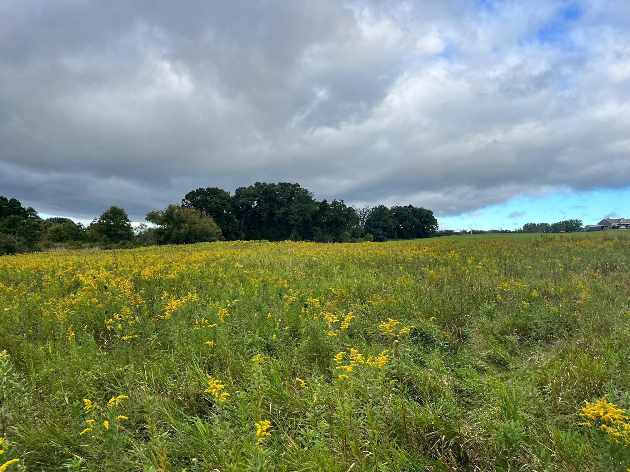 6 County Rd M Westfield, WI 53964 - Photo 4 of 13