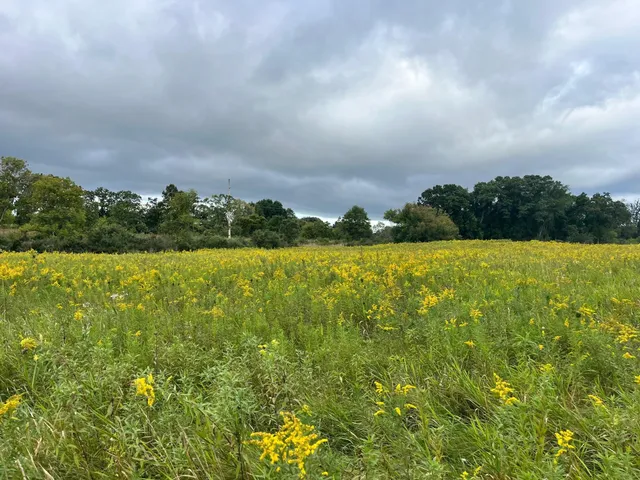 $85,000 | 6 County Rd M, Westfield, WI 53964