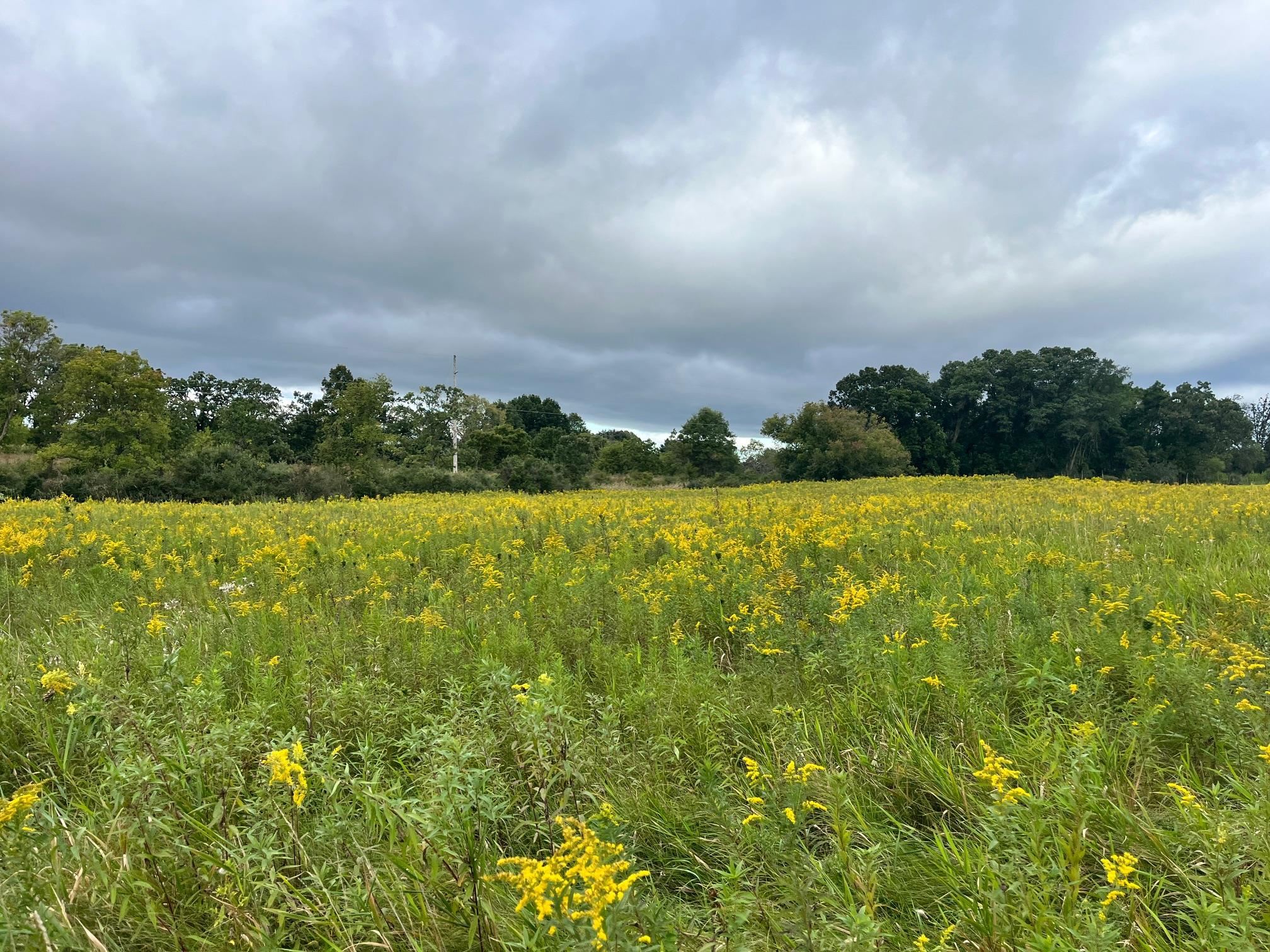 6 County Rd M Westfield, WI 53964 - Photo 5 of 13