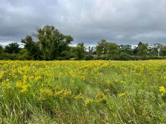 $85,000 | 6 County Rd M, Westfield, WI 53964