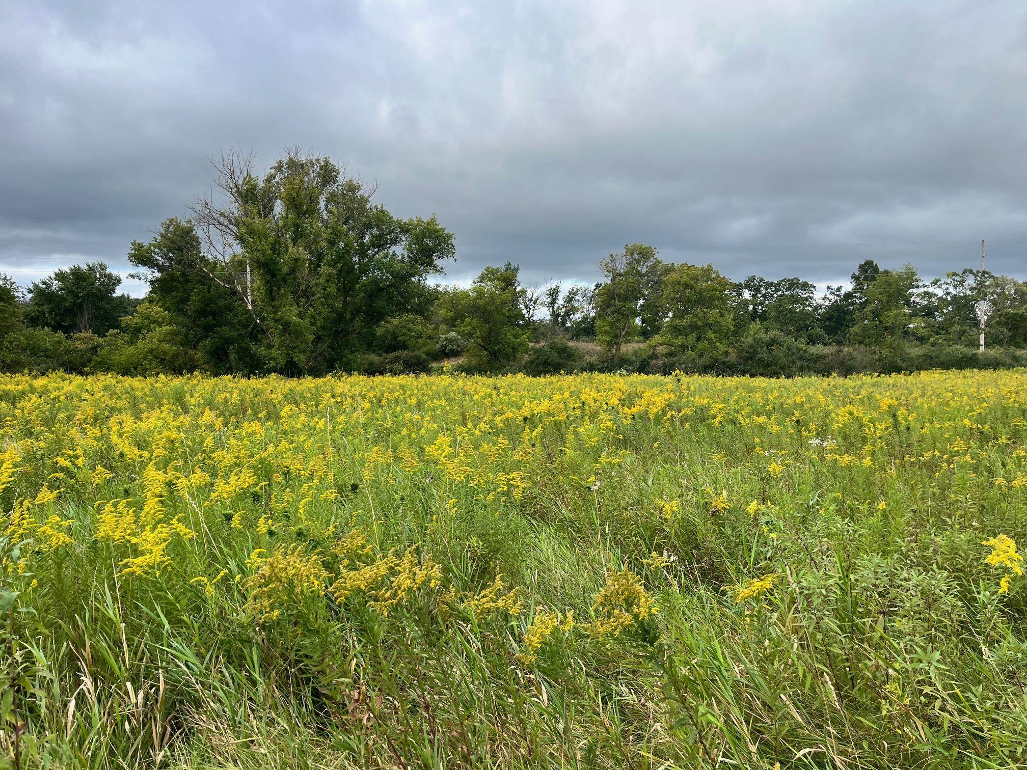 6 County Rd M Westfield, WI 53964 - Photo 6 of 13