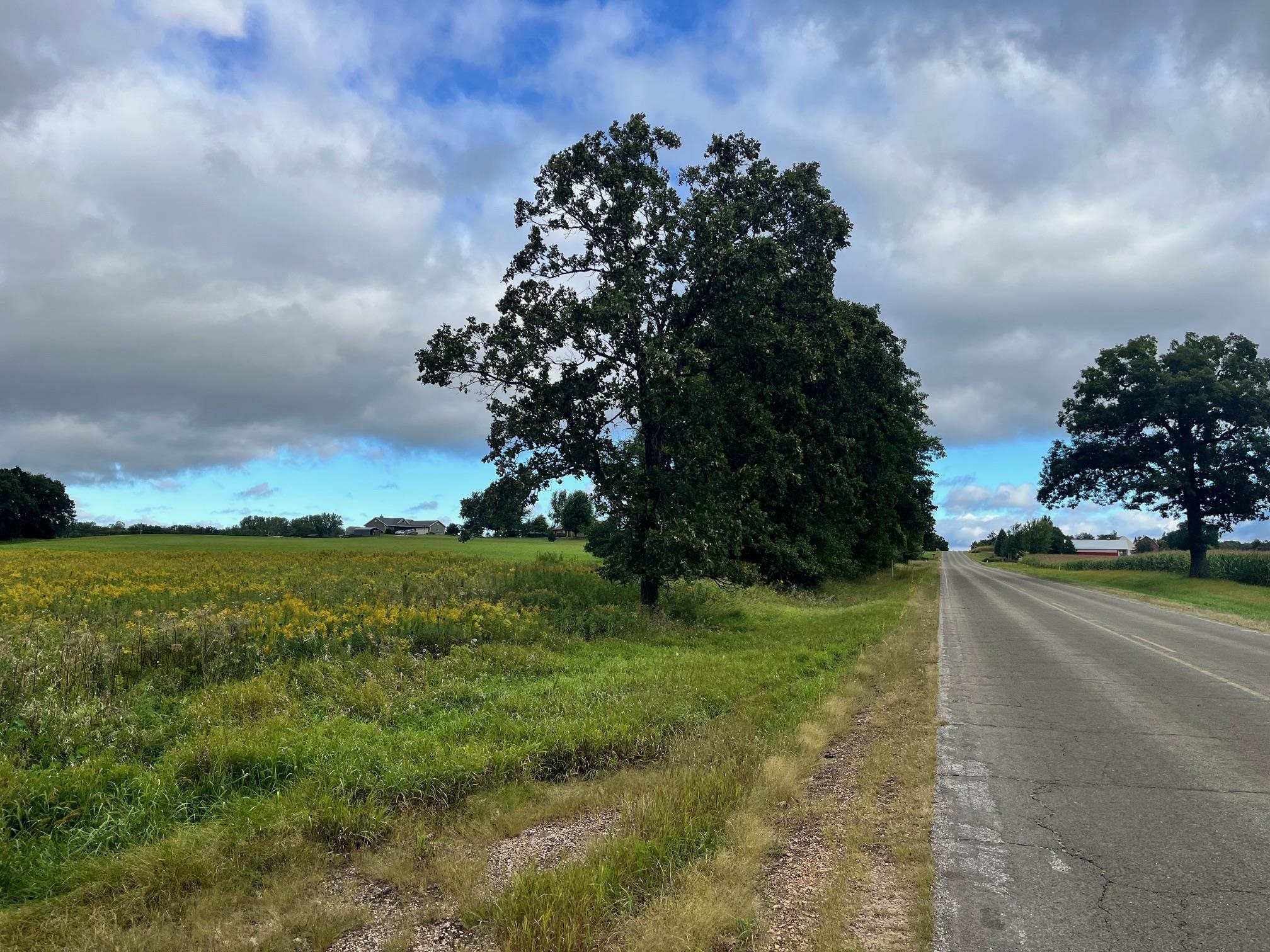 6 County Rd M Westfield, WI 53964 - Photo 7 of 13
