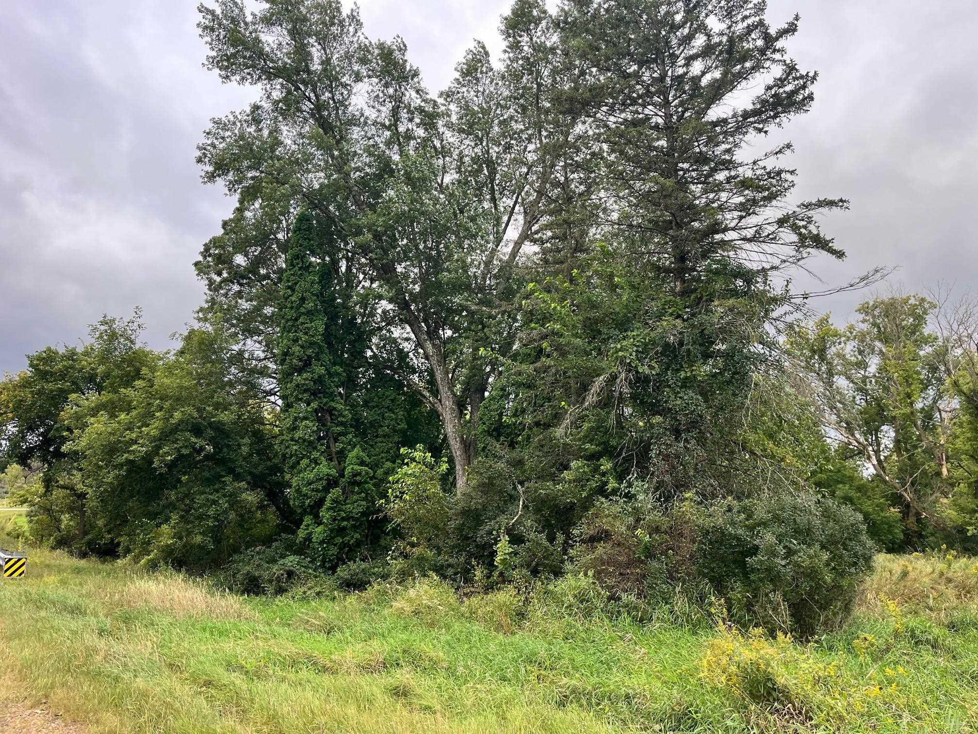 6 County Rd M Westfield, WI 53964 - Photo 8 of 13