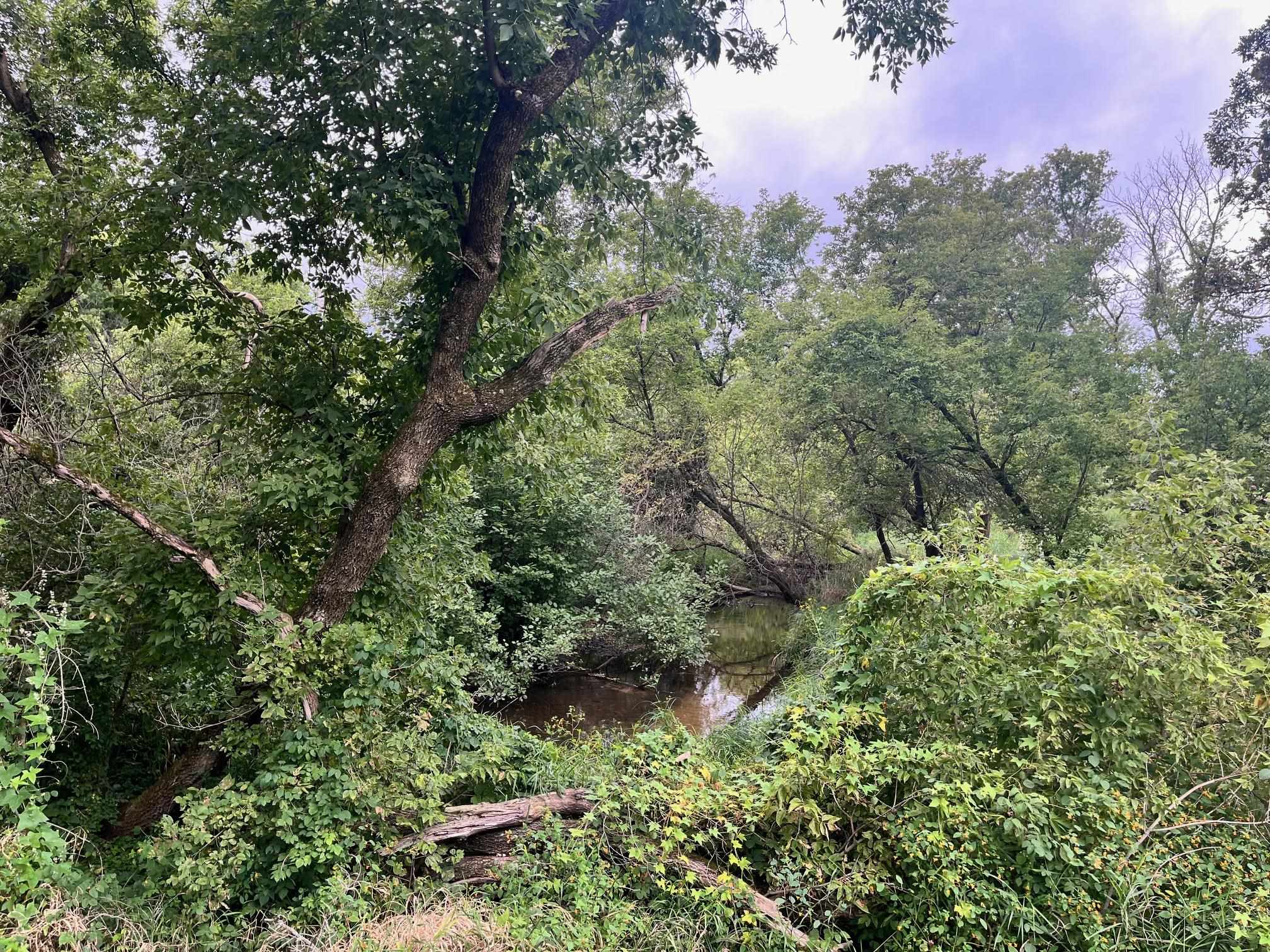 6 County Rd M Westfield, WI 53964 - Photo 9 of 13