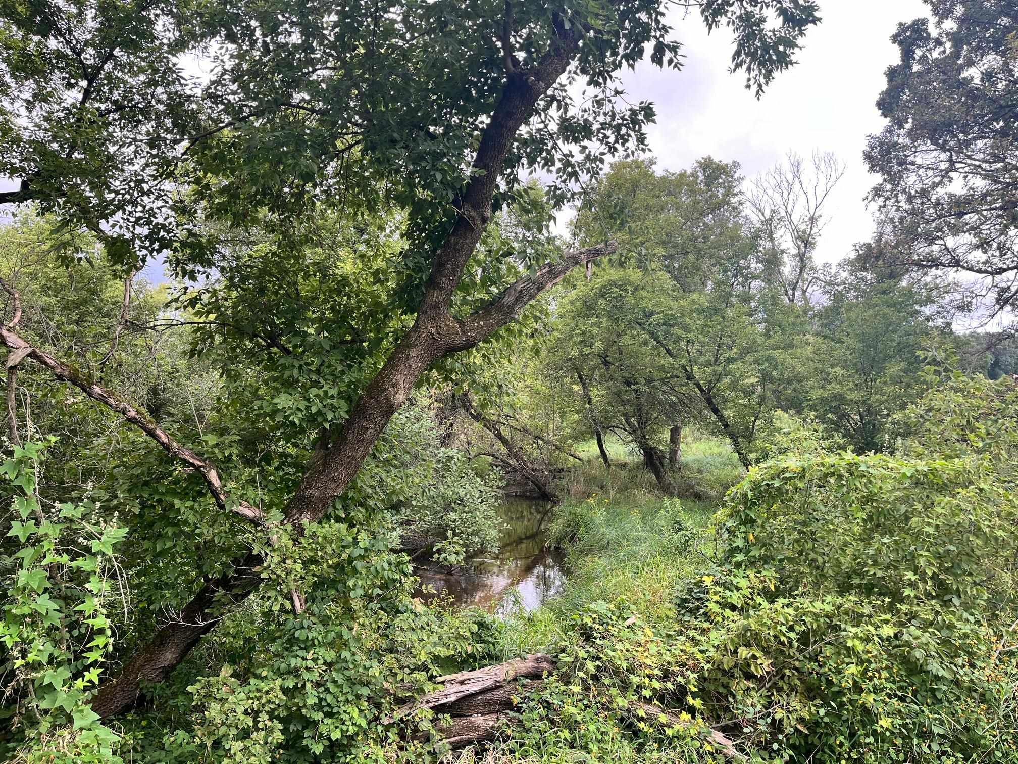 6 County Rd M Westfield, WI 53964 - Photo 10 of 13