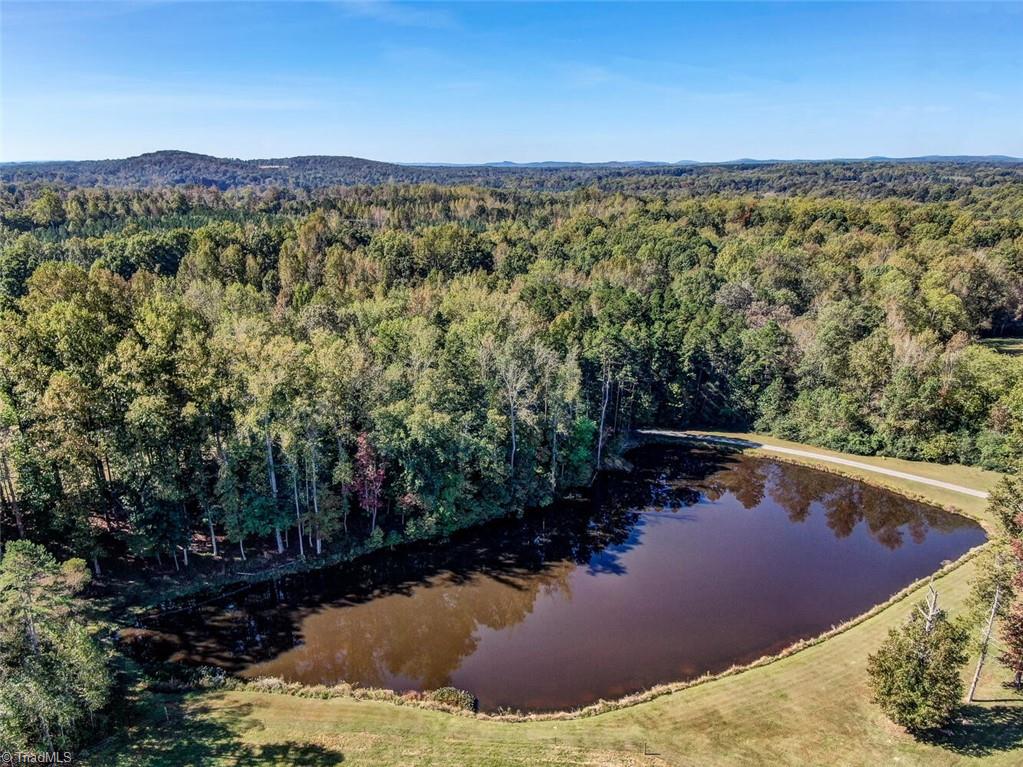 6038 Auman Farm Road Seagrove, NC 27341 - Photo 22 of 50 Gallery Image 22