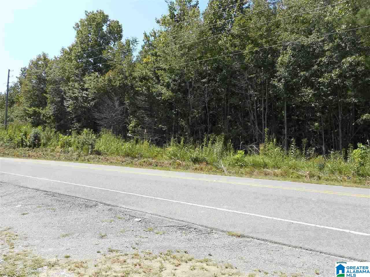 3957 Pleasant Valley Road, Unit 13 ACRES Odenville, AL 35120 - Photo 3 of 5