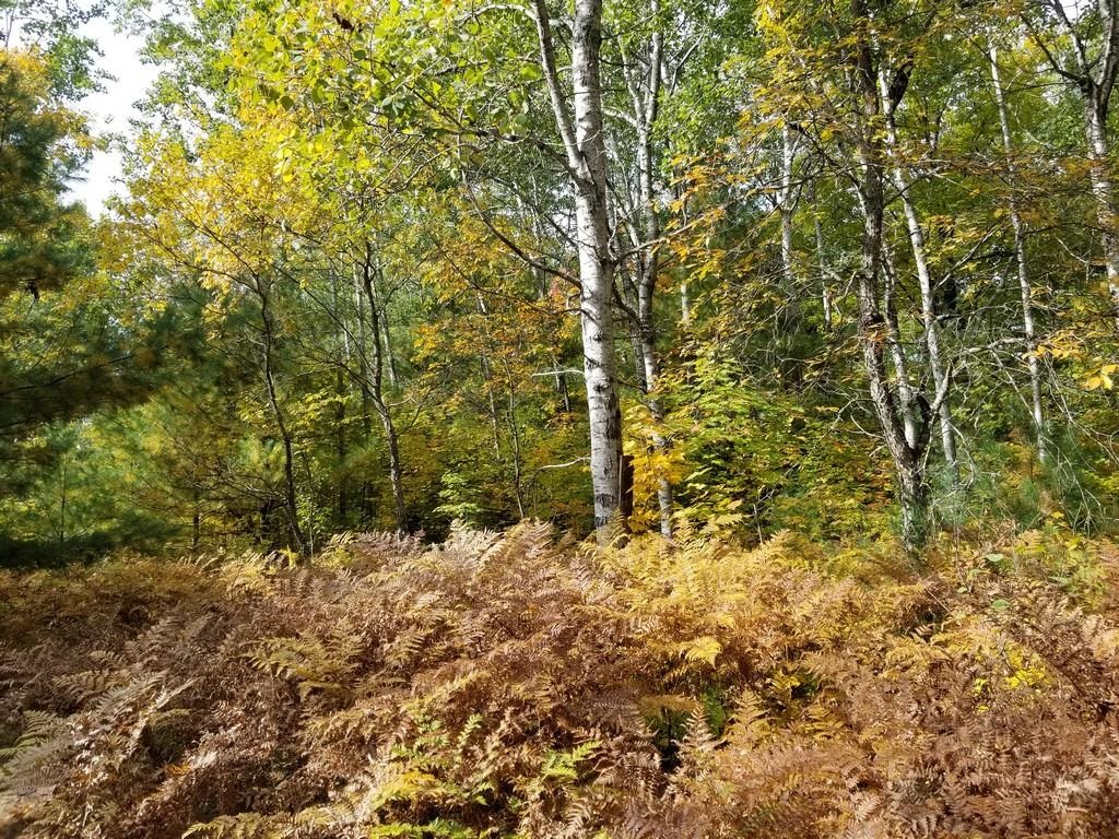2089 Sigma Road Southeast Kalkaska, MI 49646 - Photo 2 of 57 1905734-1.JPG