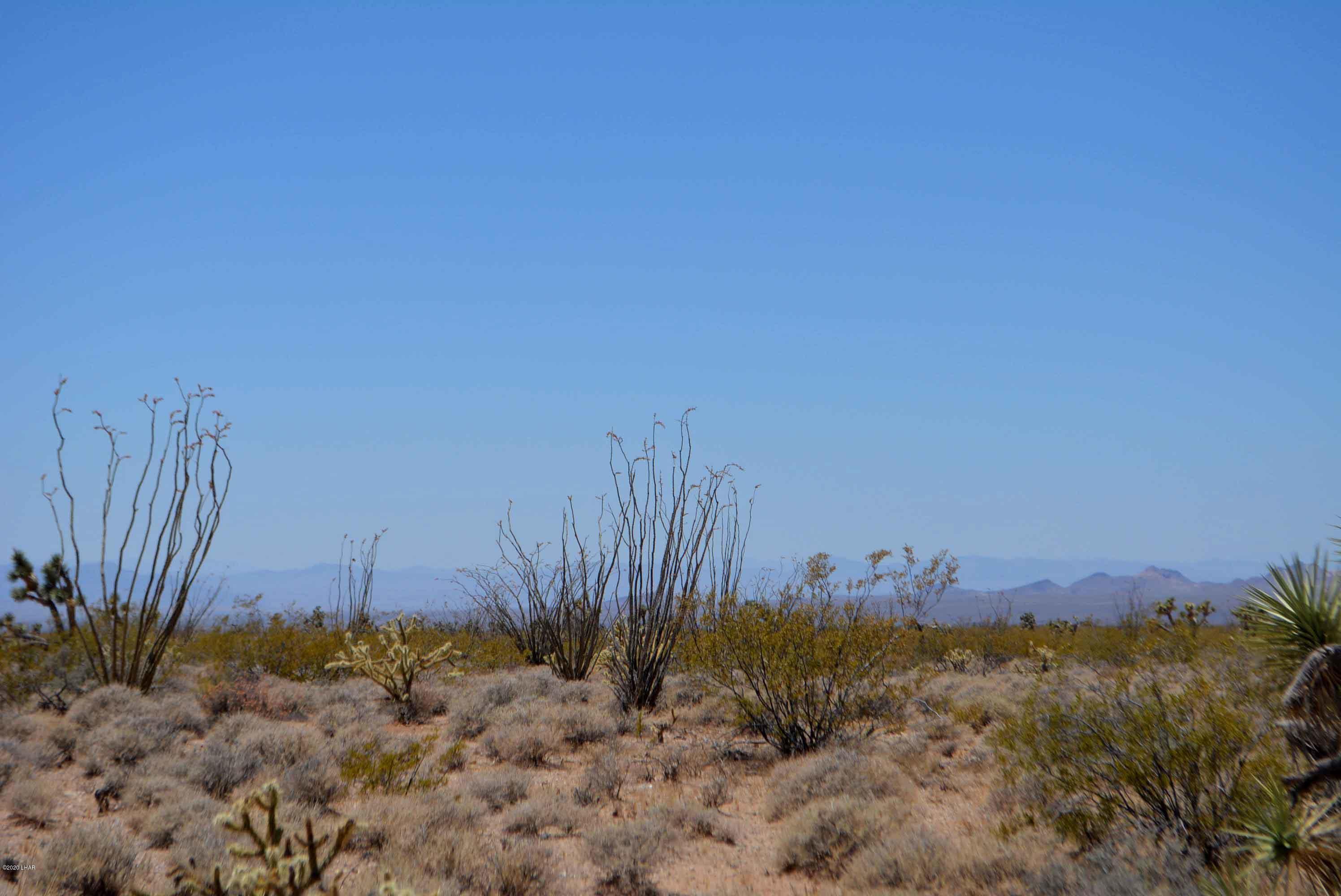 3421 South Butch Cassidy Road Yucca, AZ 86438 - Photo 11 of 35 DSC_0948