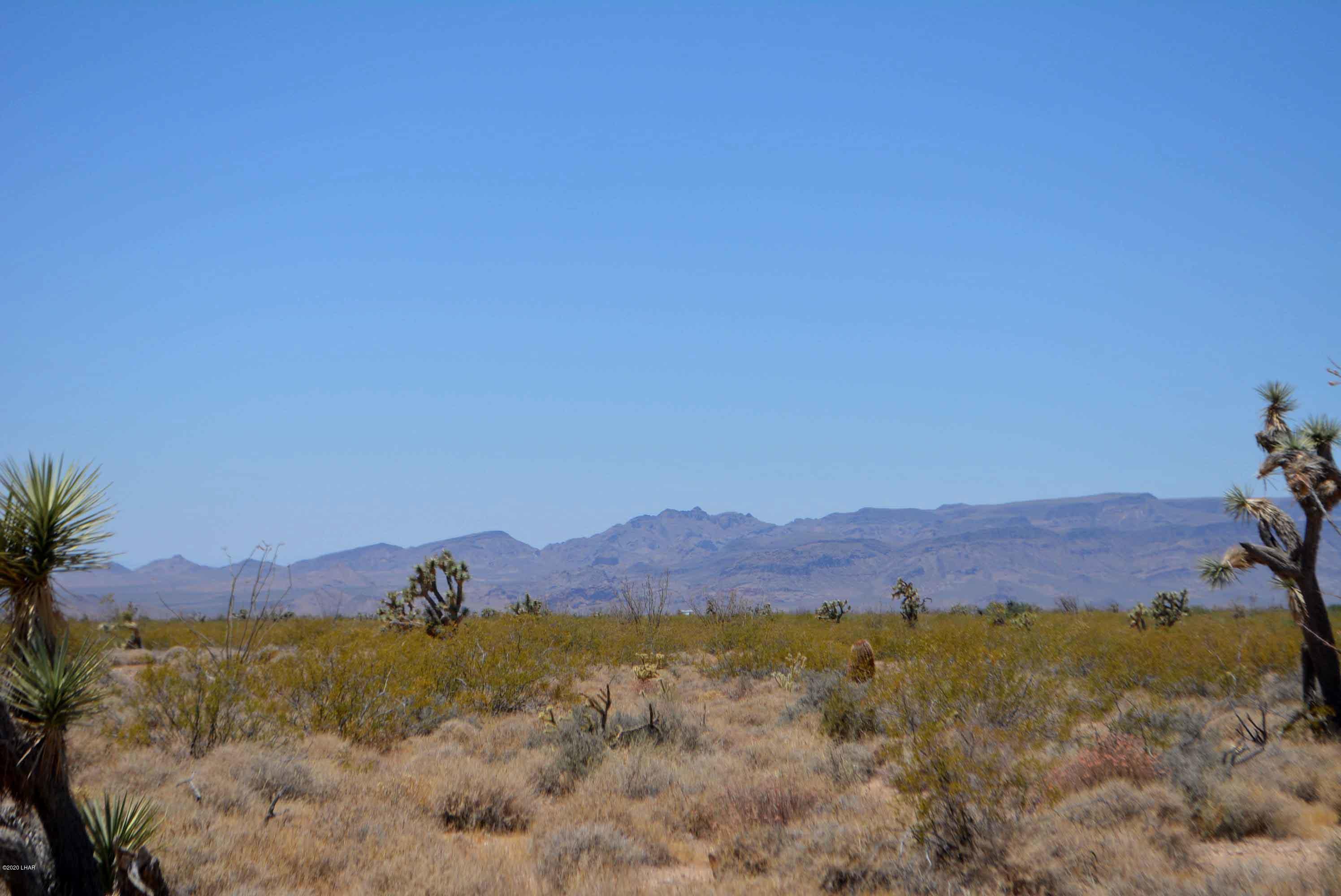 3421 South Butch Cassidy Road Yucca, AZ 86438 - Photo 13 of 35 DSC_0950