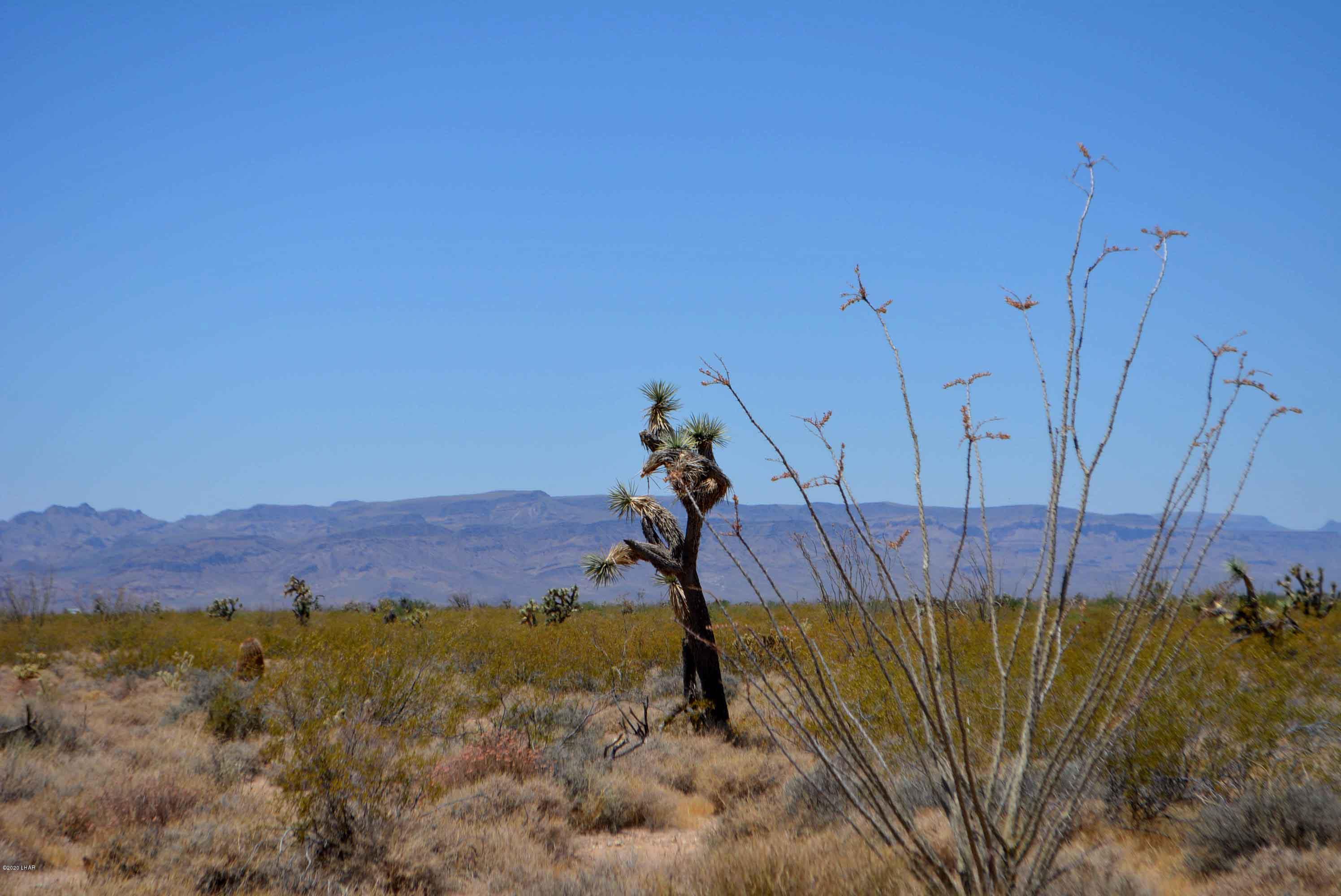3421 South Butch Cassidy Road Yucca, AZ 86438 - Photo 14 of 35 DSC_0951