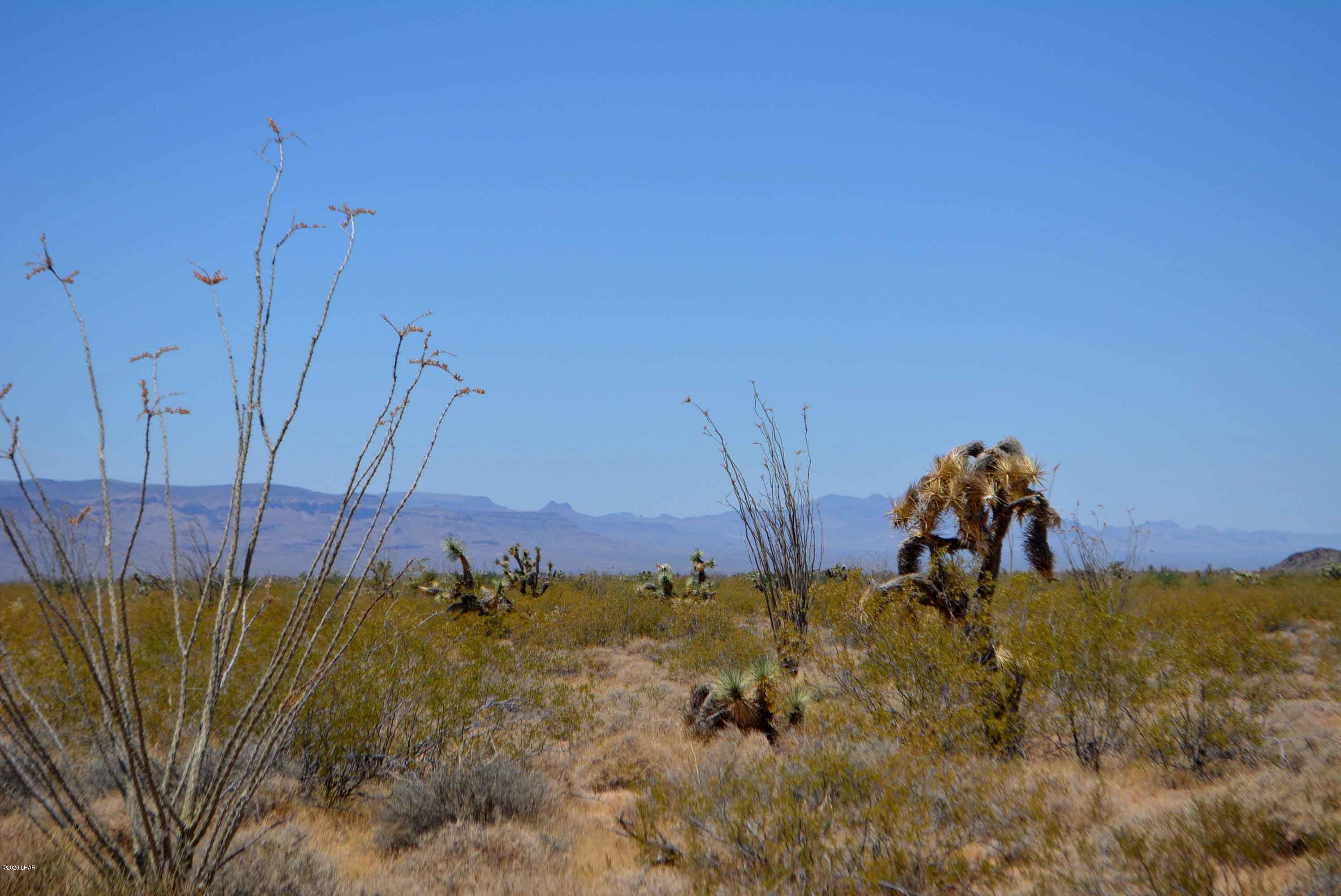 3421 South Butch Cassidy Road Yucca, AZ 86438 - Photo 15 of 35 DSC_0952