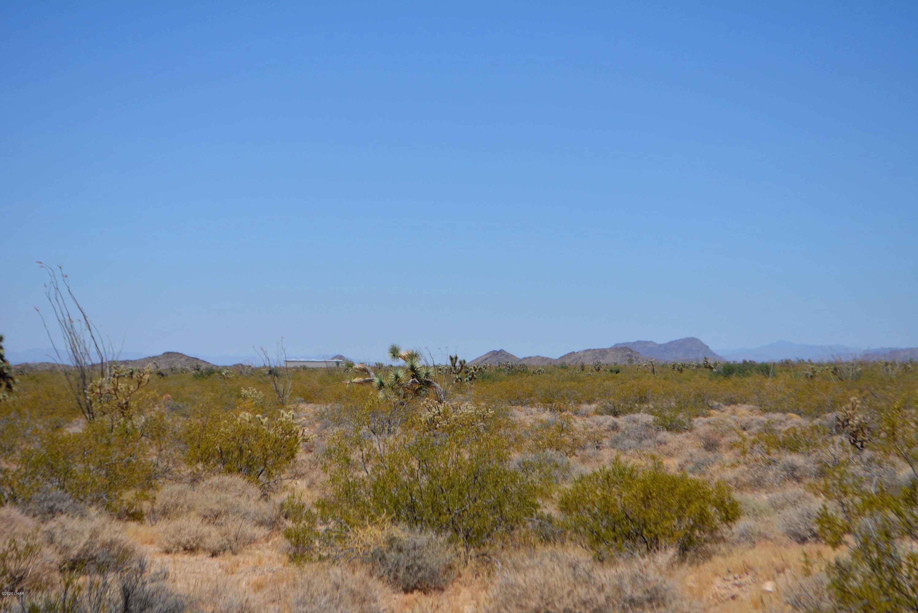3421 South Butch Cassidy Road Yucca, AZ 86438 - Photo 17 of 35 DSC_0954