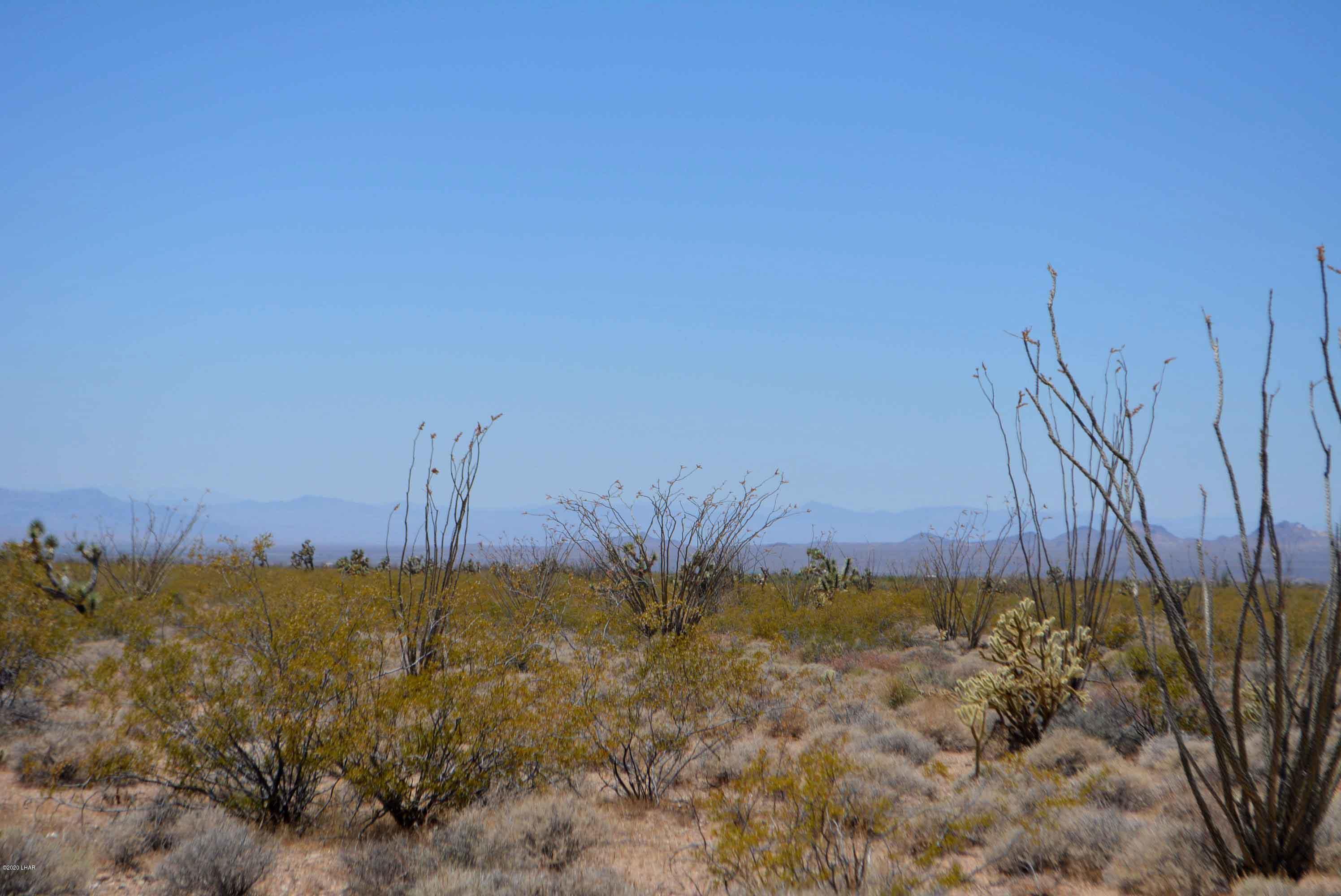 3421 South Butch Cassidy Road Yucca, AZ 86438 - Photo 19 of 35 DSC_0956