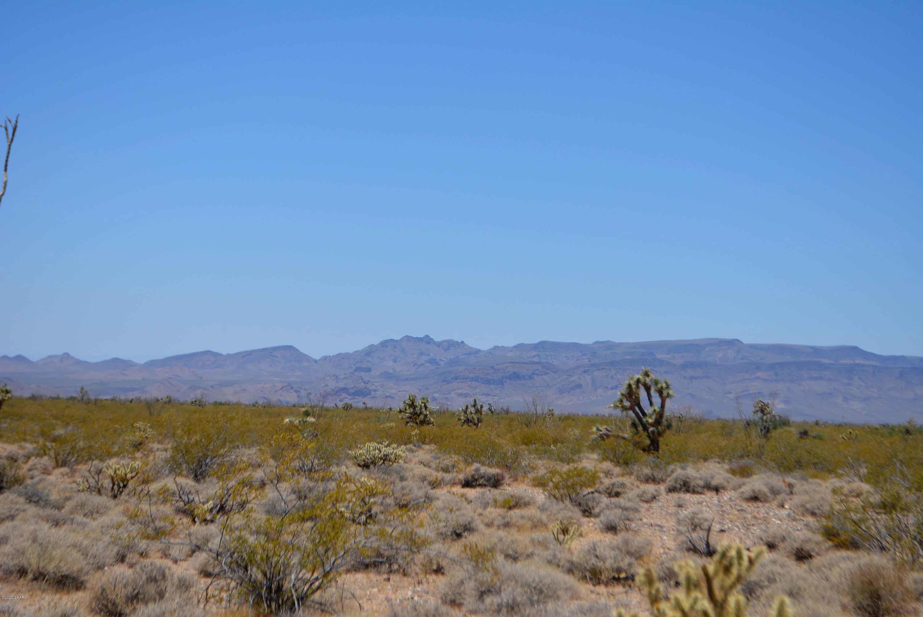 3421 South Butch Cassidy Road Yucca, AZ 86438 - Photo 21 of 35 DSC_0958