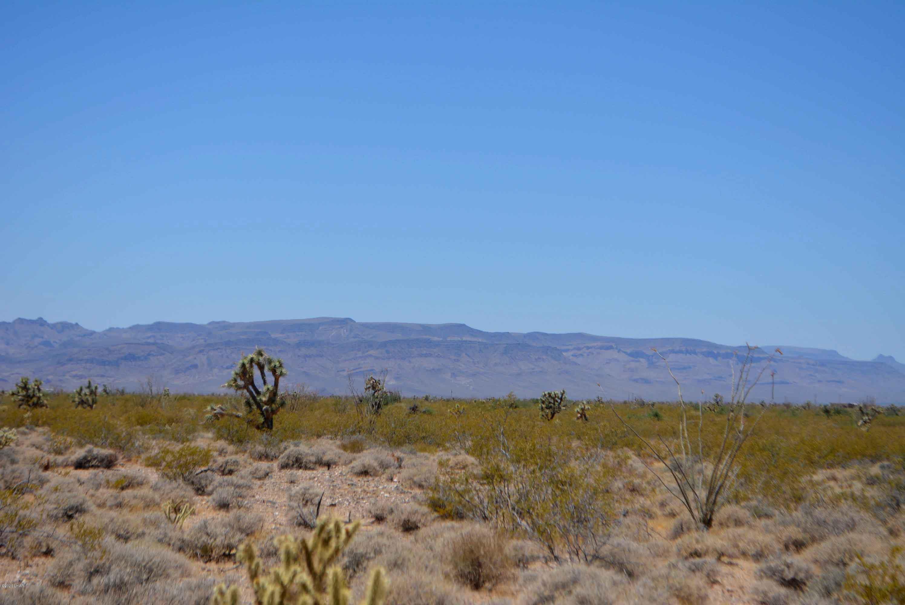 3421 South Butch Cassidy Road Yucca, AZ 86438 - Photo 22 of 35 DSC_0959