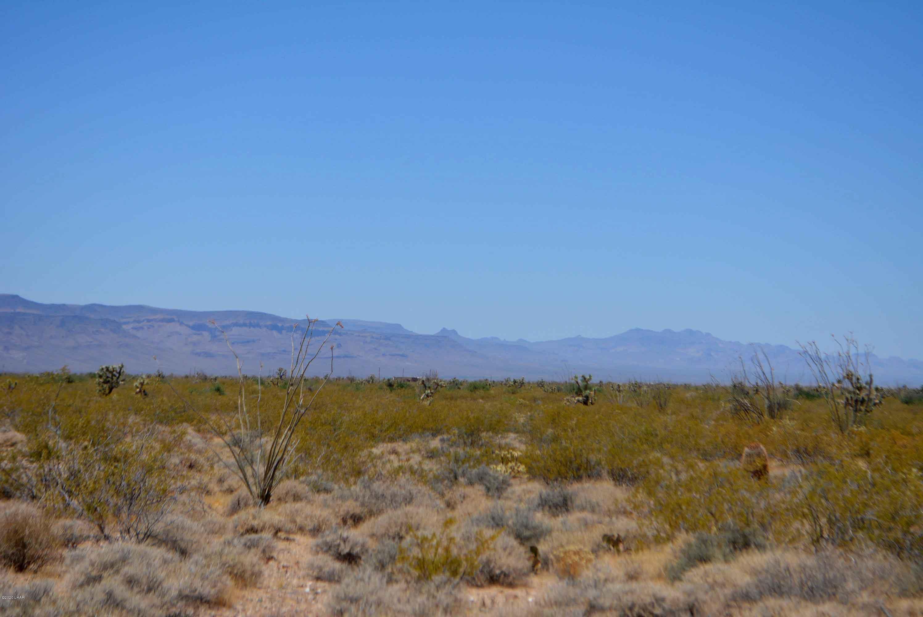 3421 South Butch Cassidy Road Yucca, AZ 86438 - Photo 23 of 35 DSC_0960