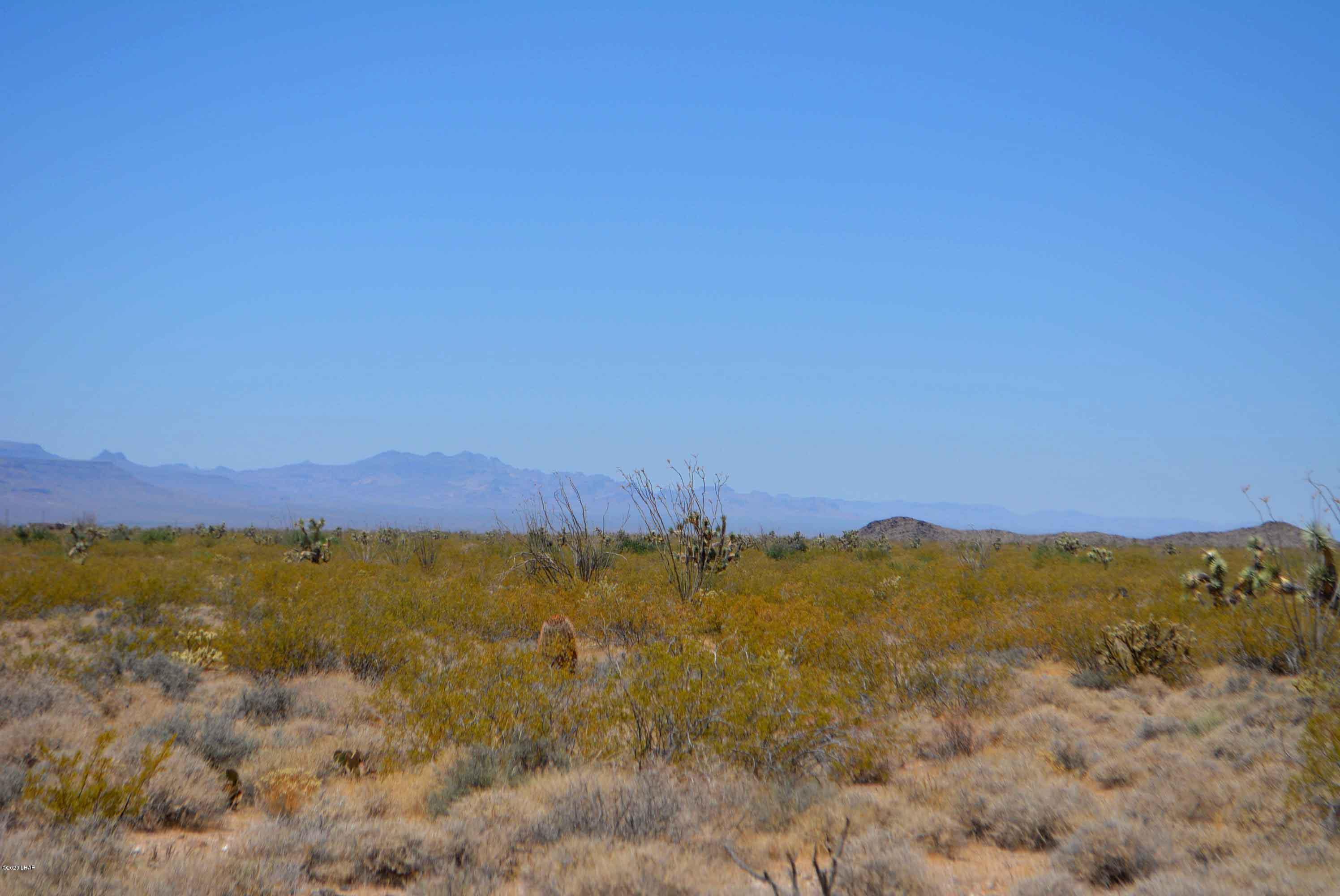 3421 South Butch Cassidy Road Yucca, AZ 86438 - Photo 24 of 35 DSC_0961