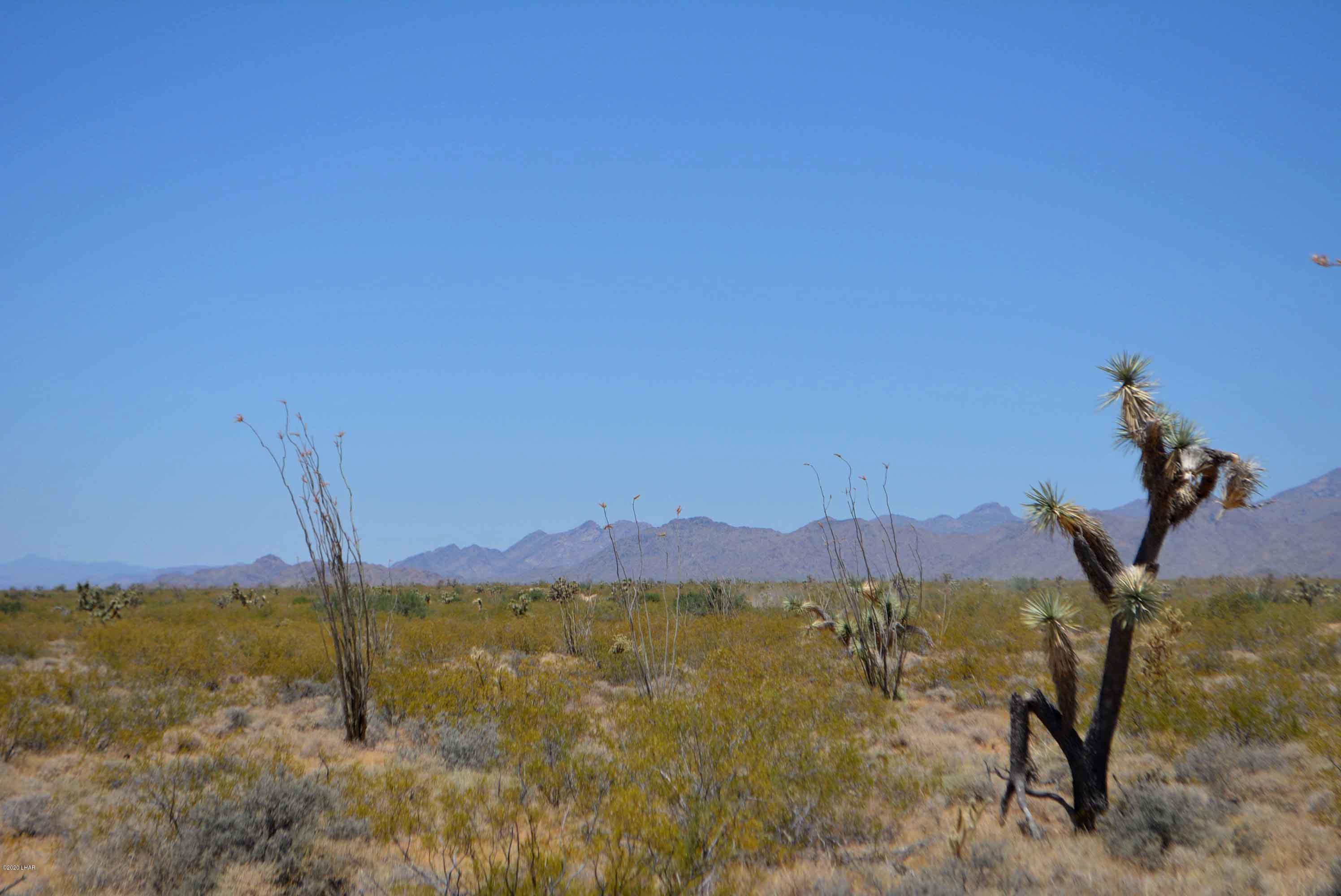 3421 South Butch Cassidy Road Yucca, AZ 86438 - Photo 27 of 35 DSC_0964