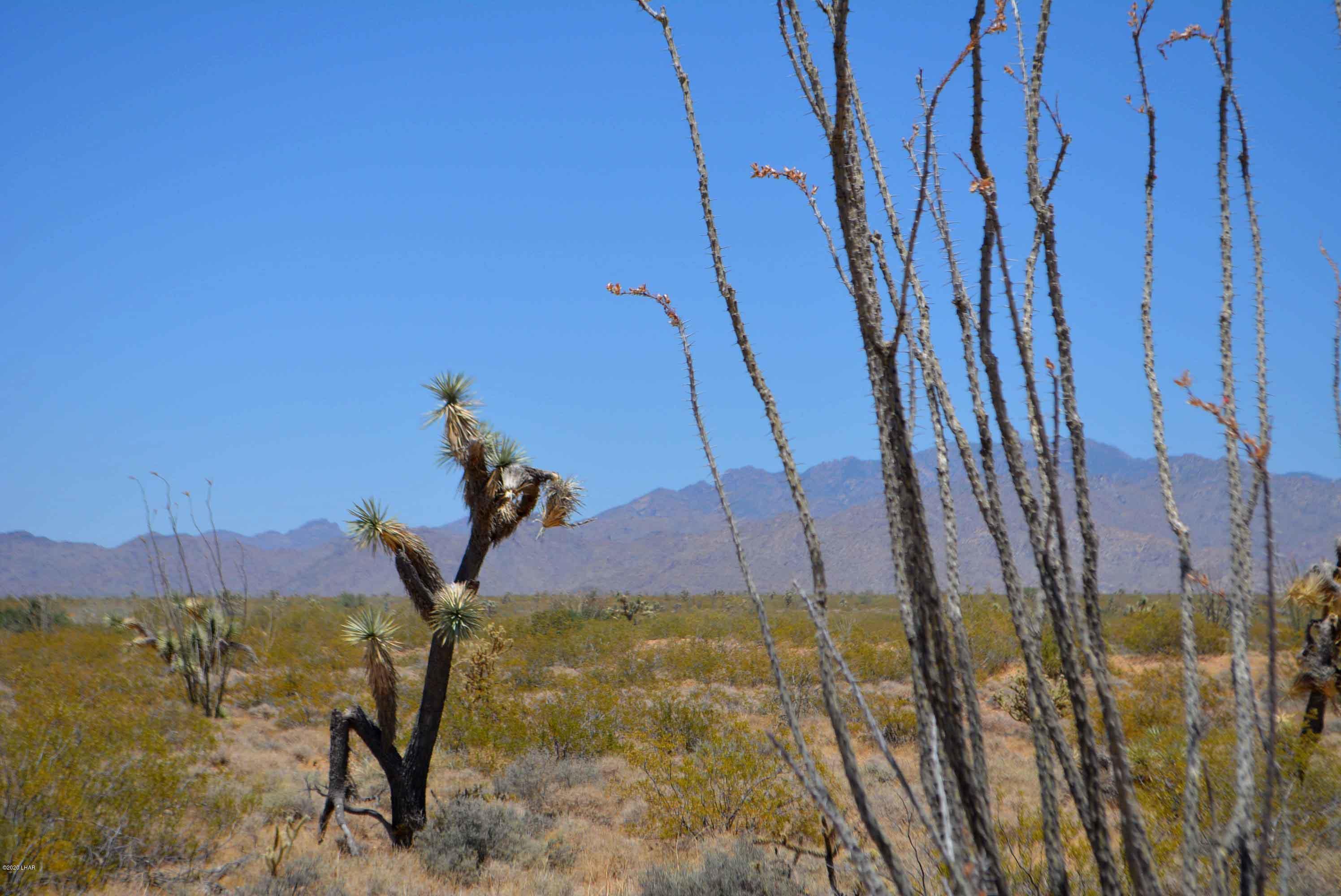 3421 South Butch Cassidy Road Yucca, AZ 86438 - Photo 28 of 35 DSC_0965