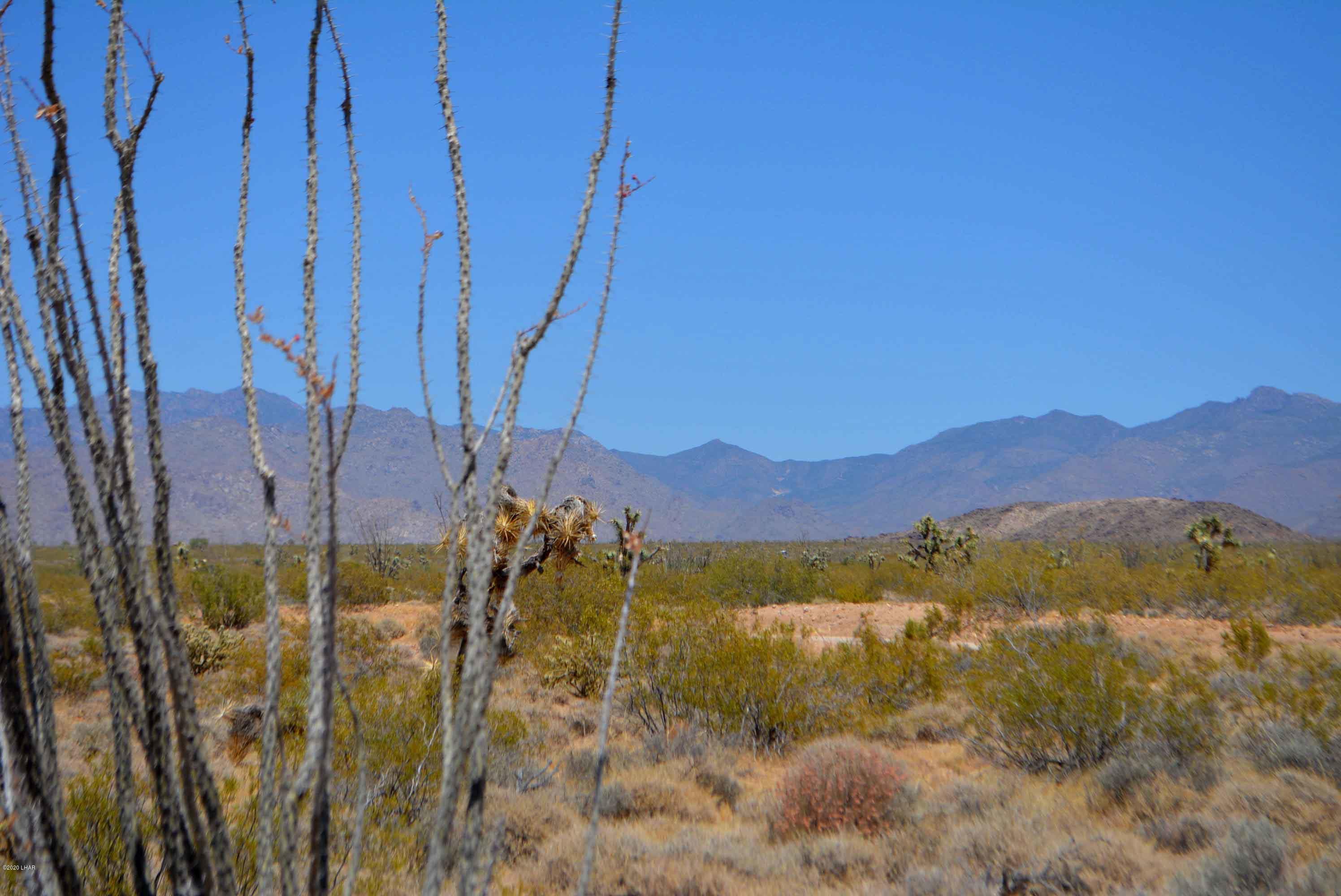3421 South Butch Cassidy Road Yucca, AZ 86438 - Photo 29 of 35 DSC_0966