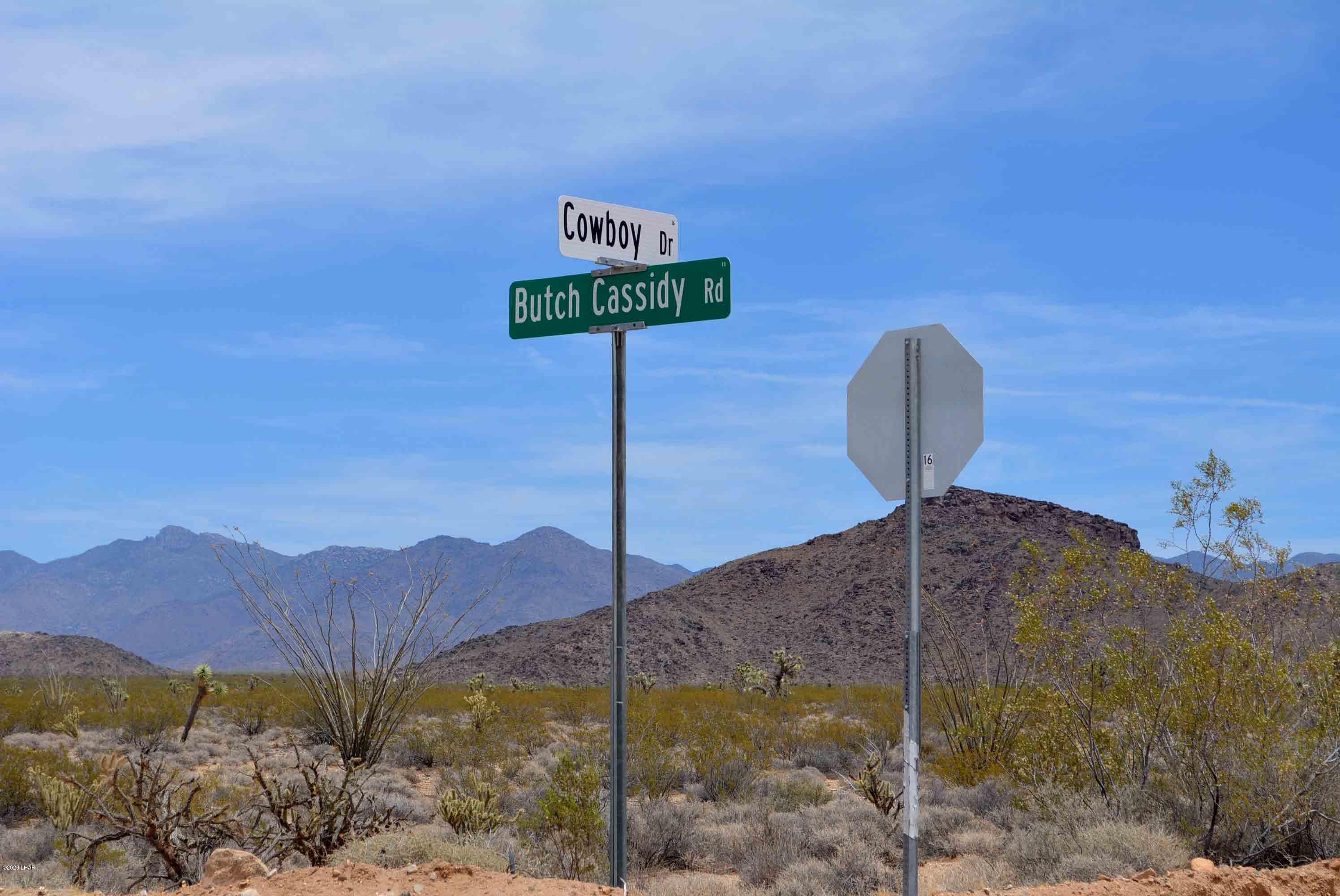 3421 South Butch Cassidy Road Yucca, AZ 86438 - Photo 3 of 35 3421 2