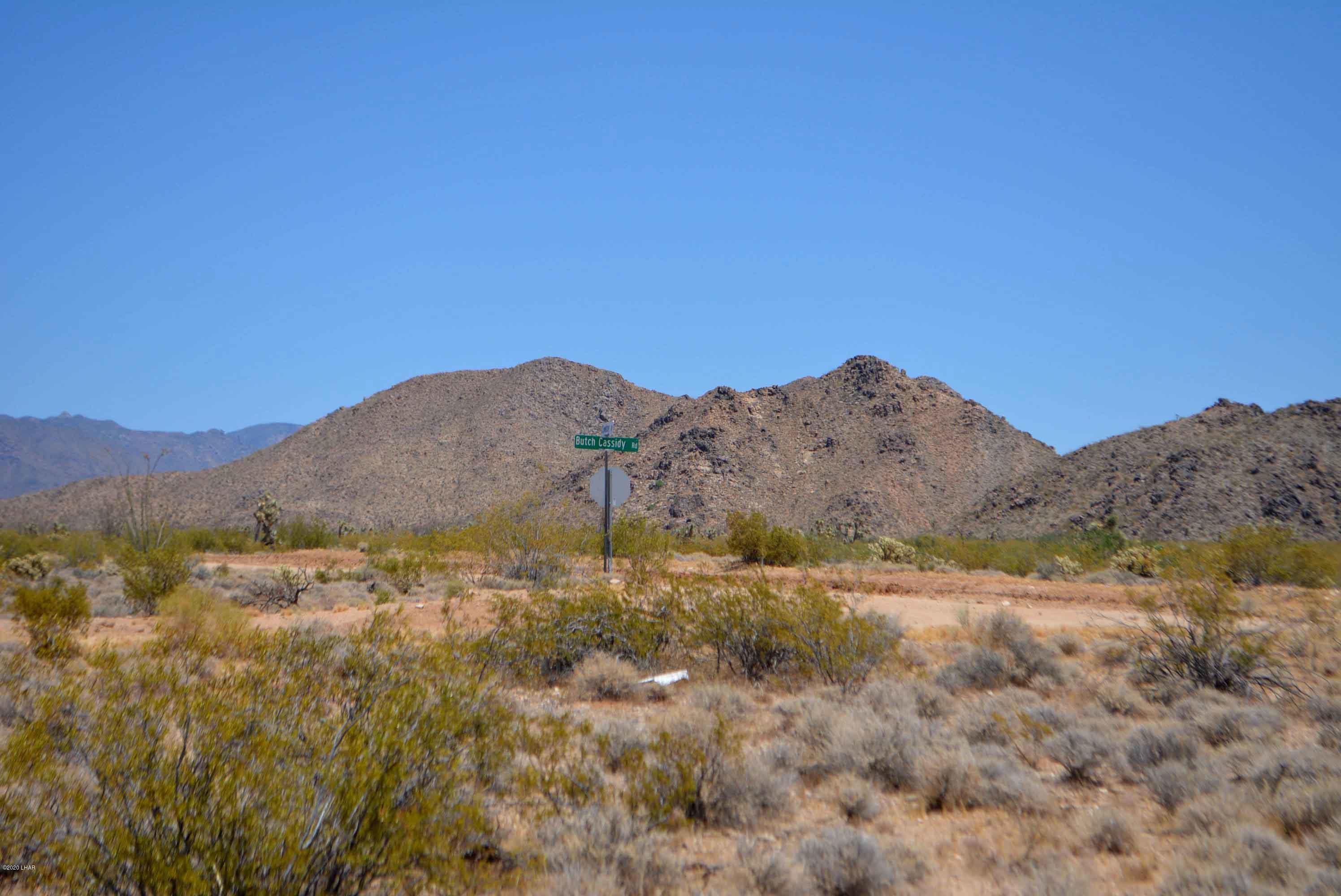 3421 South Butch Cassidy Road Yucca, AZ 86438 - Photo 33 of 35 DSC_0970